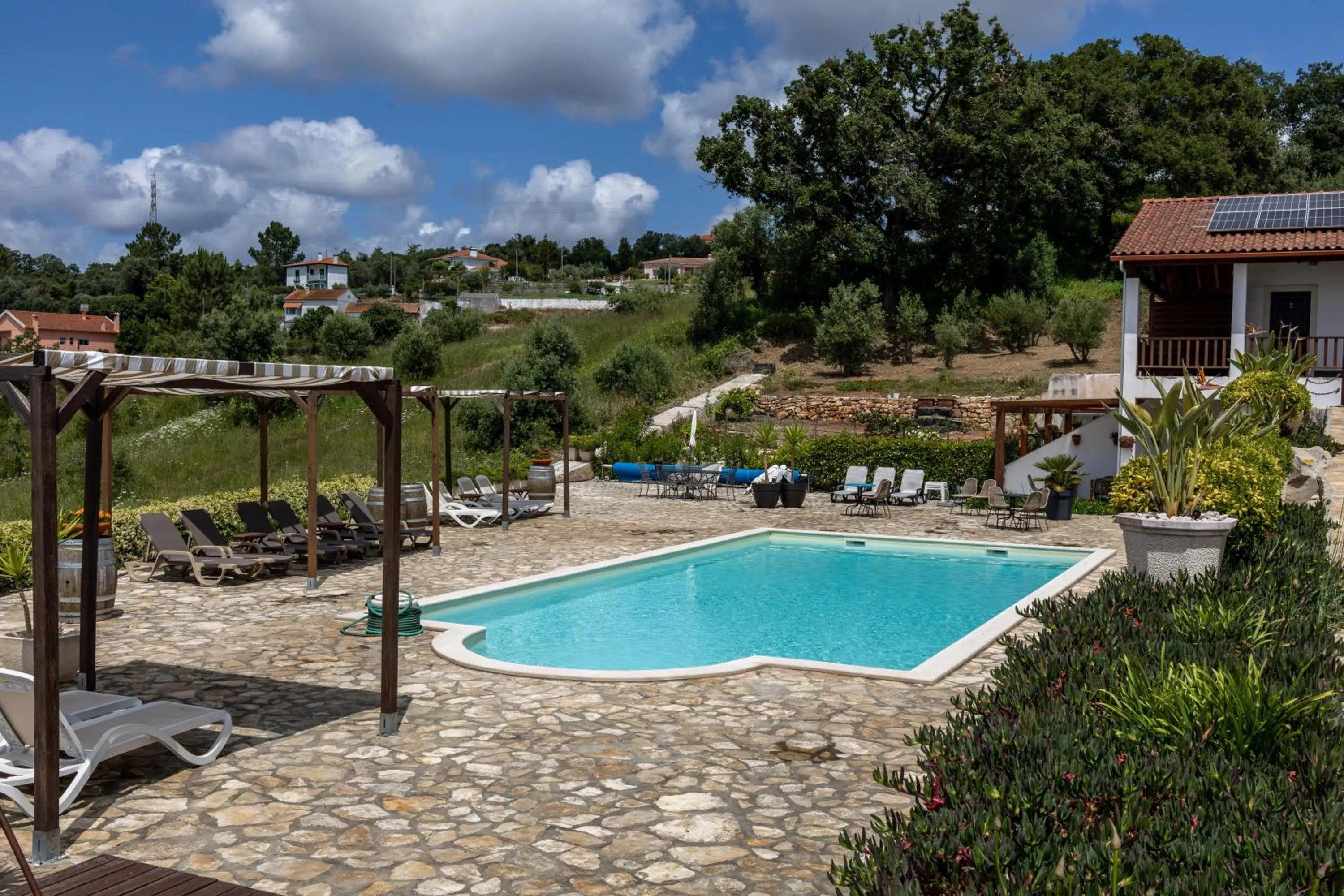 View (from property/room) in The Olive Hill Guesthouse