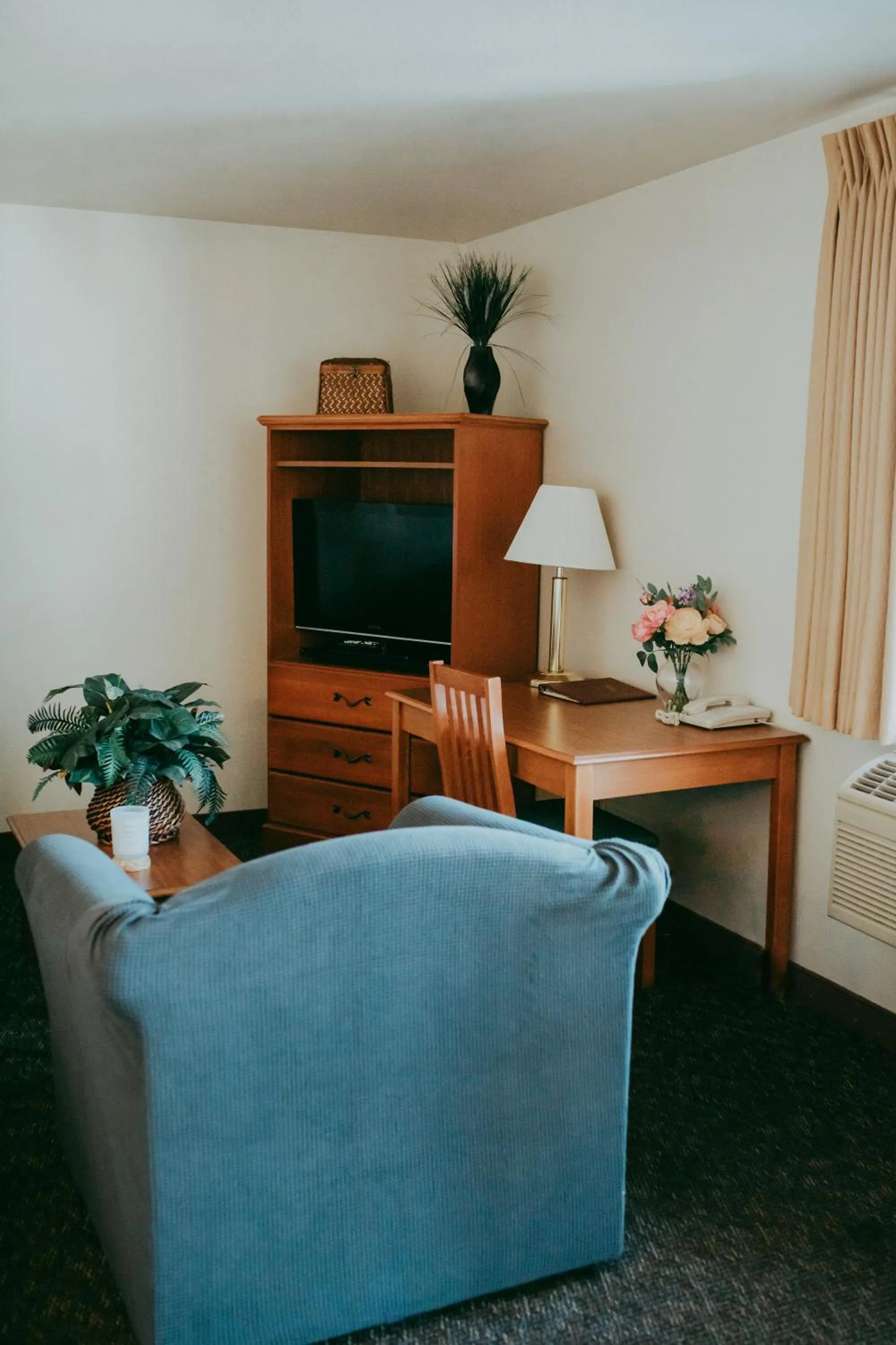 TV and multimedia in Carson City Plaza Hotel