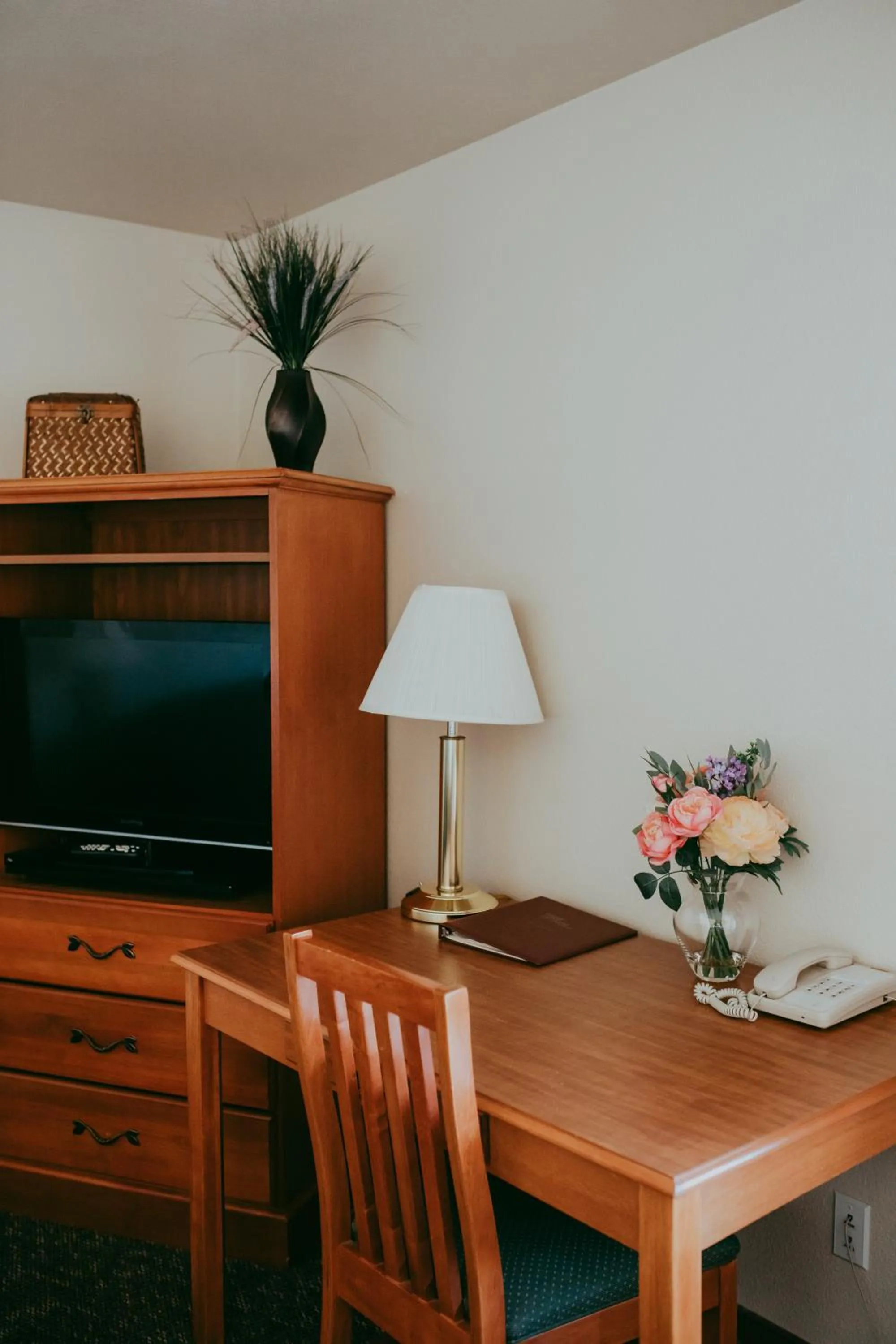 TV and multimedia in Carson City Plaza Hotel