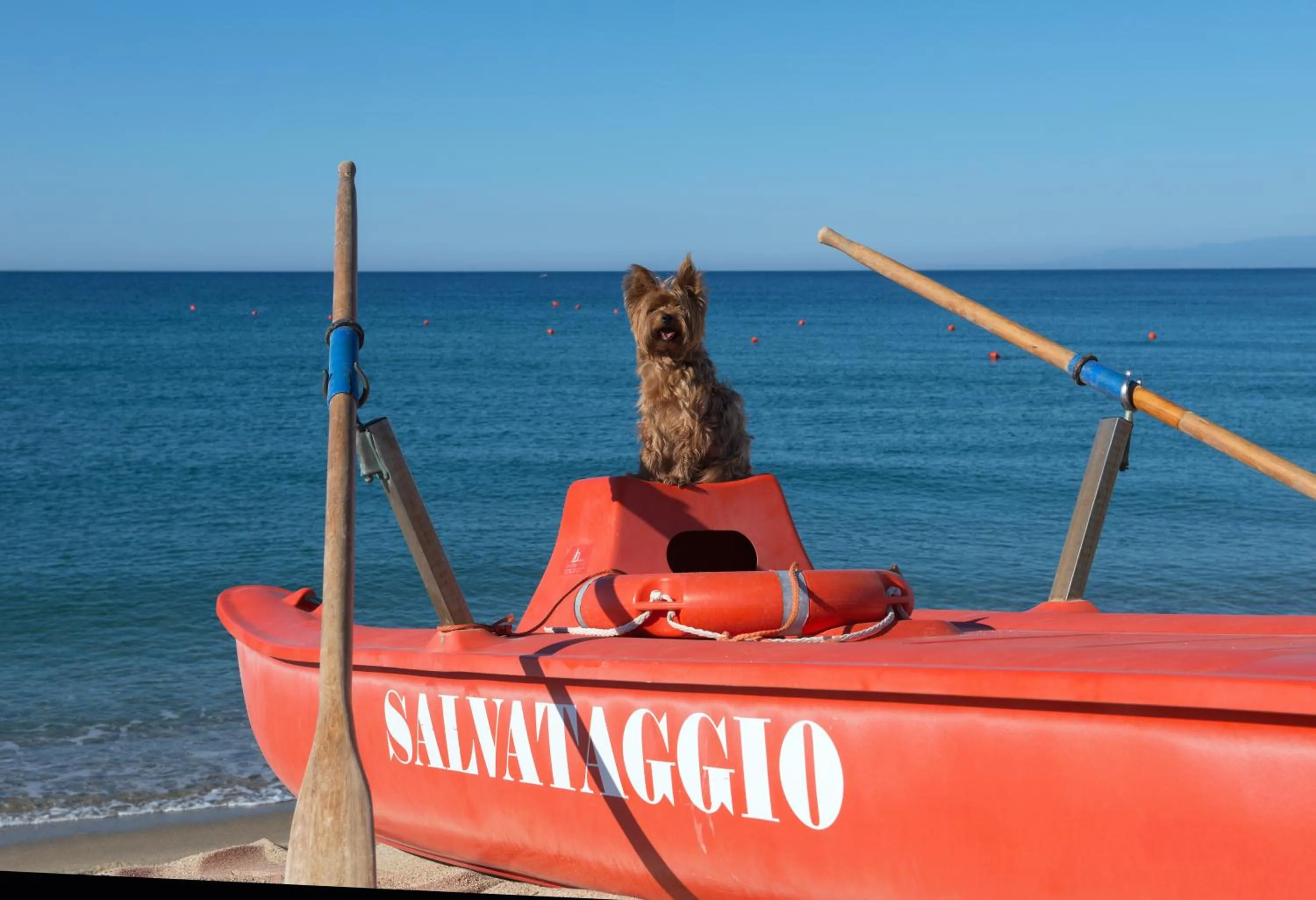 Beach in Santa Monica Resort