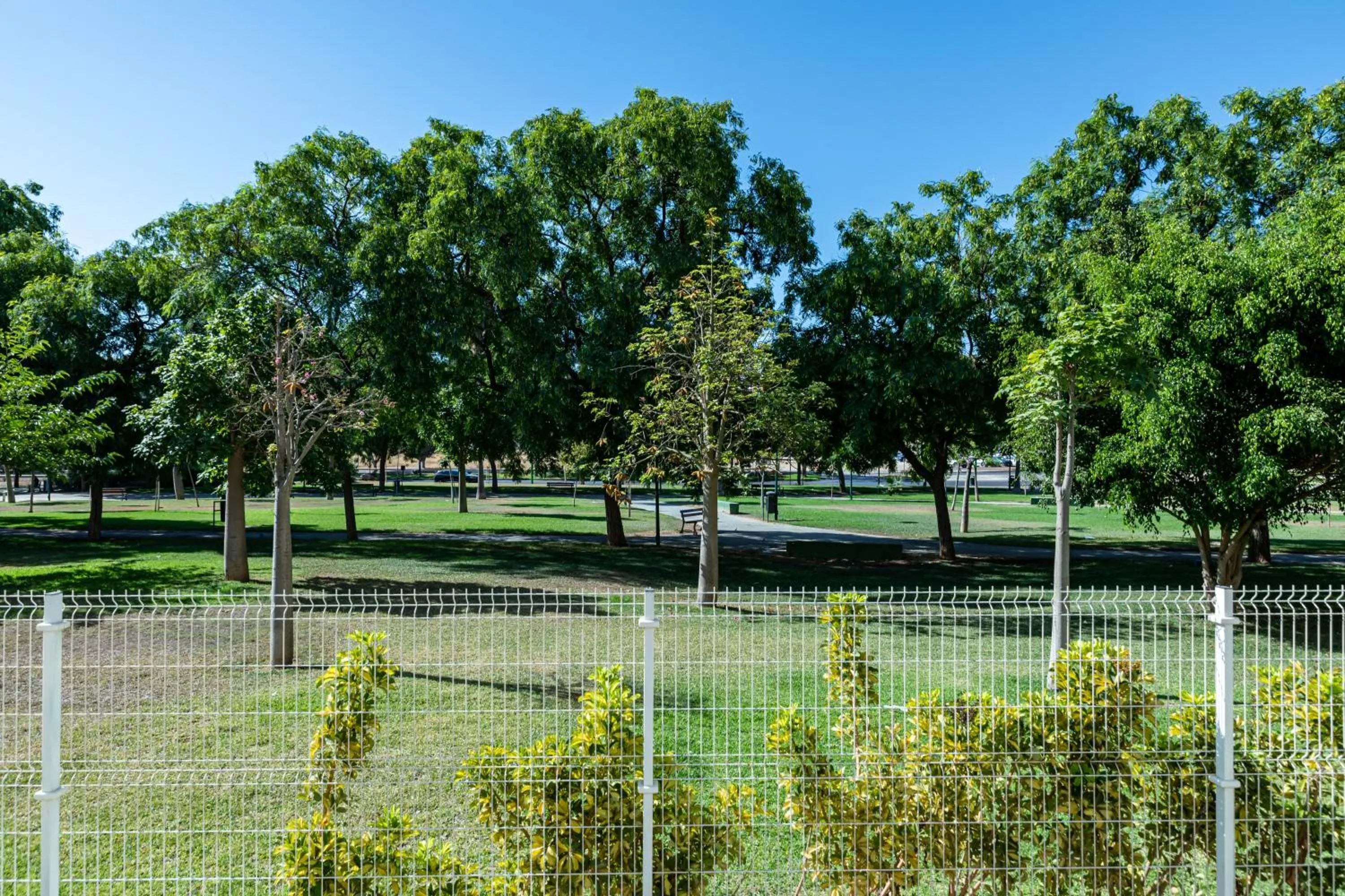 Garden in Residencia Universitaria Resa Campus Málaga