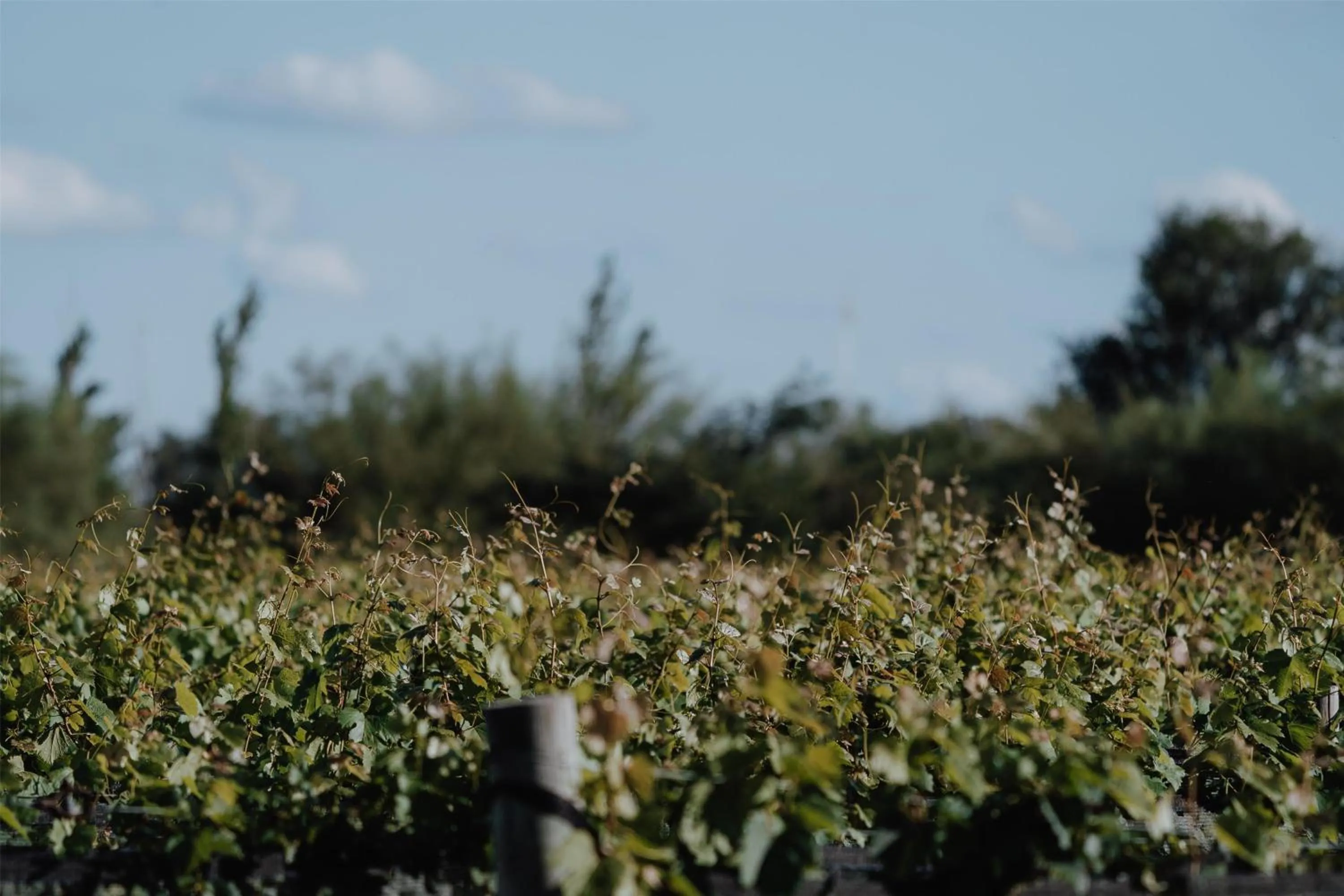 Nearby landmark in La Urumpta Hotel, AKEN MIND