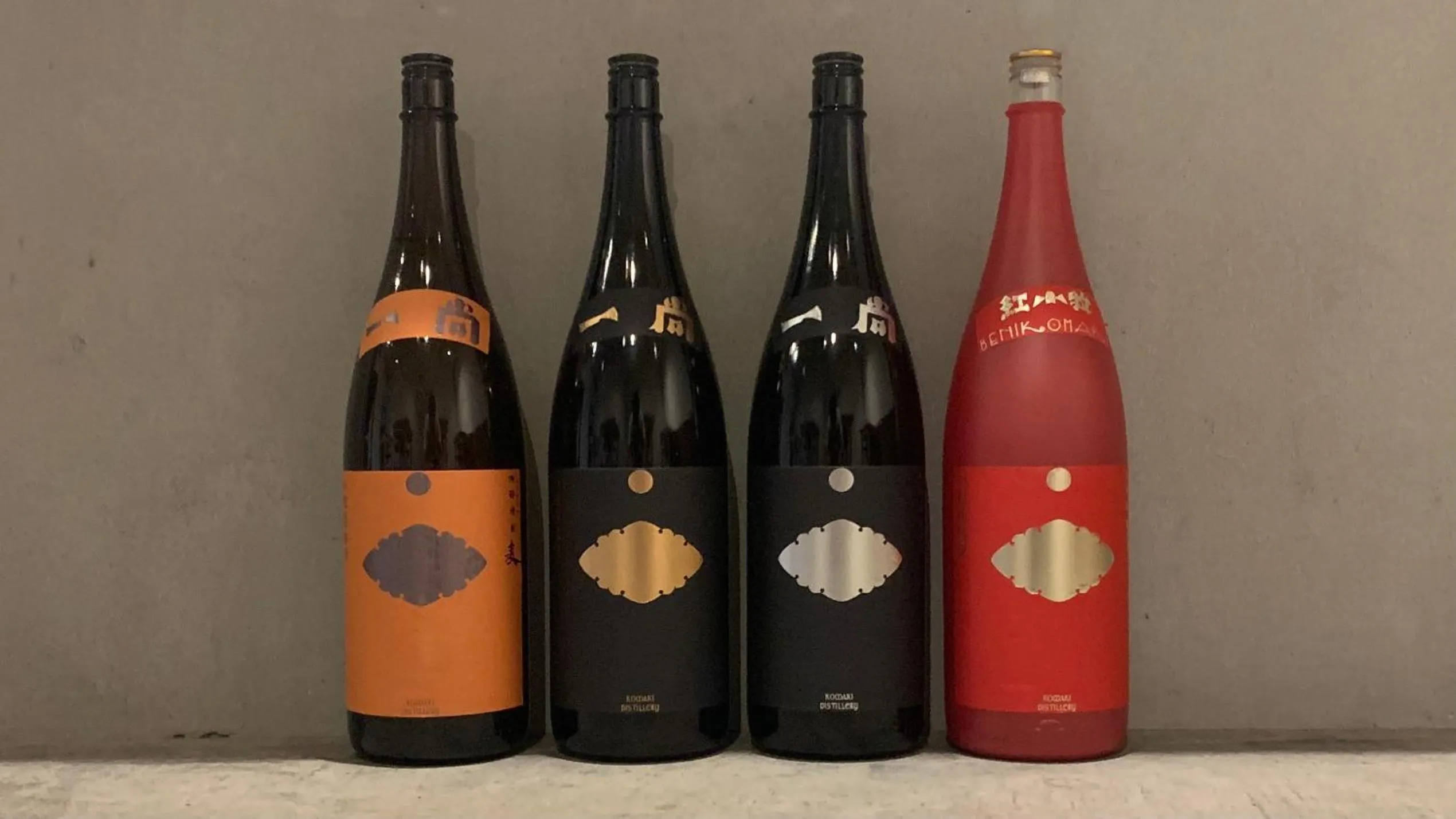 Lounge or bar in hostel mog