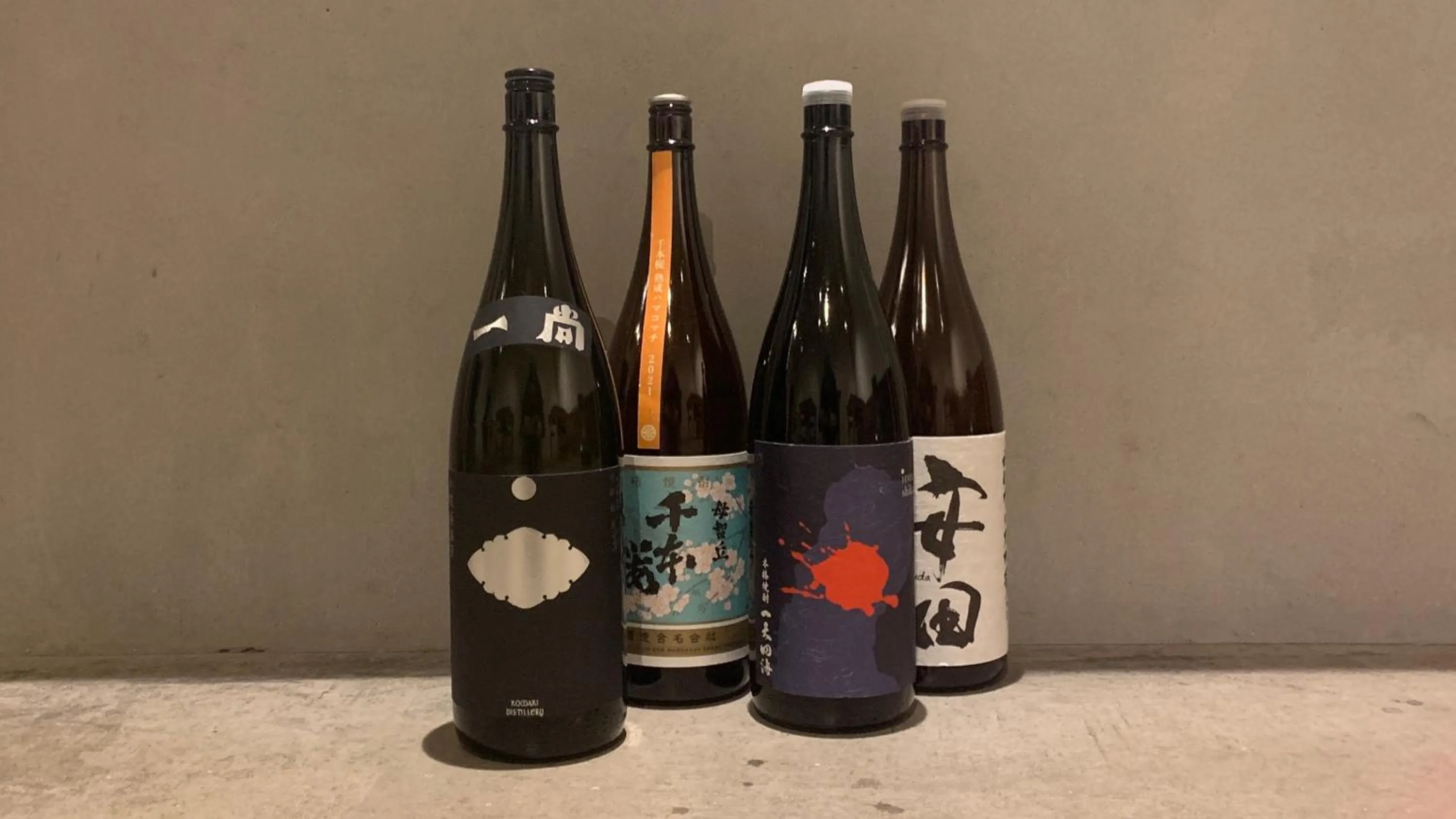 Lounge or bar in hostel mog