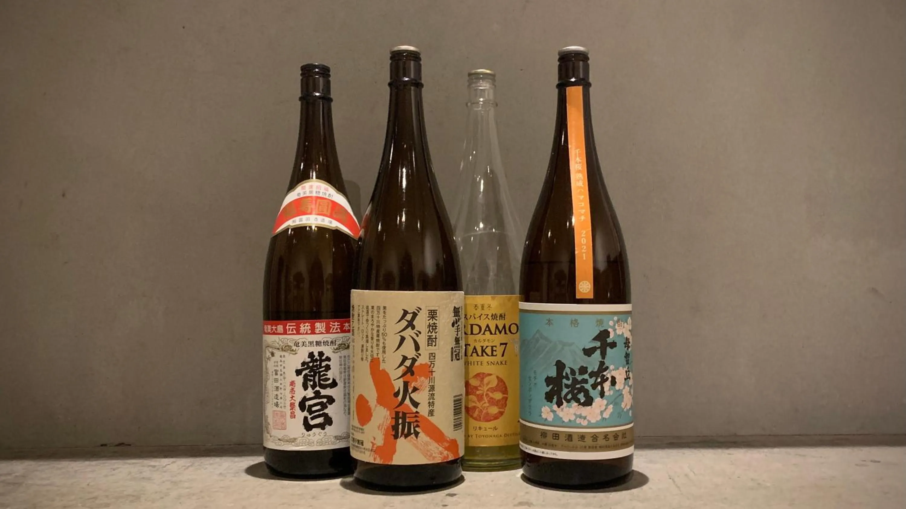 Lounge or bar in hostel mog