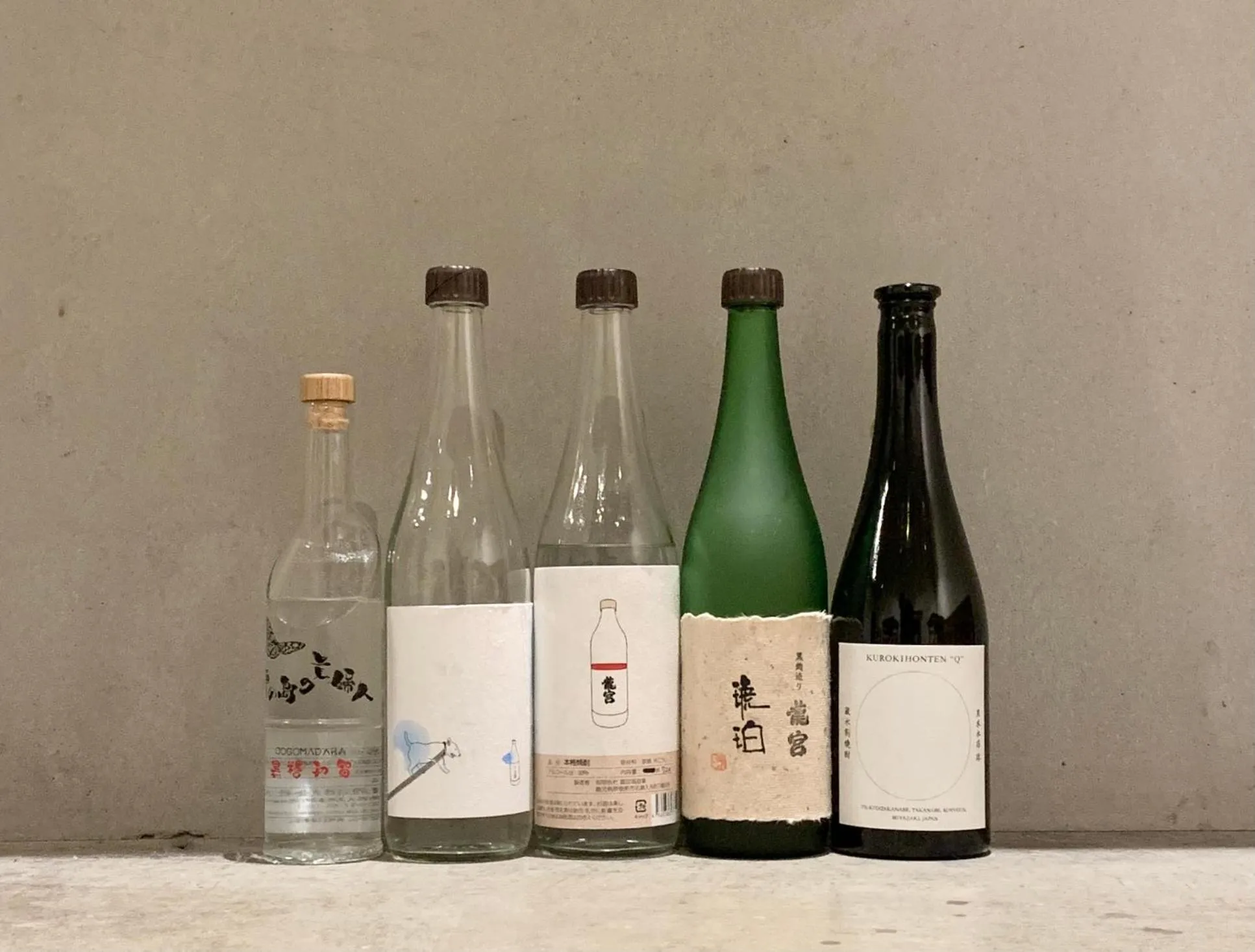 Lounge or bar in hostel mog