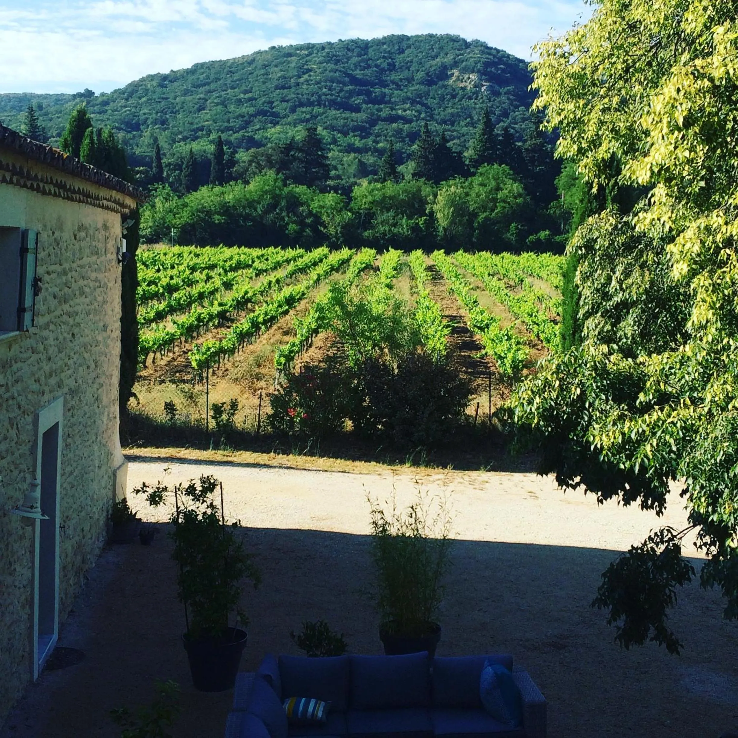 View (from property/room) in Le Mas de la Javone