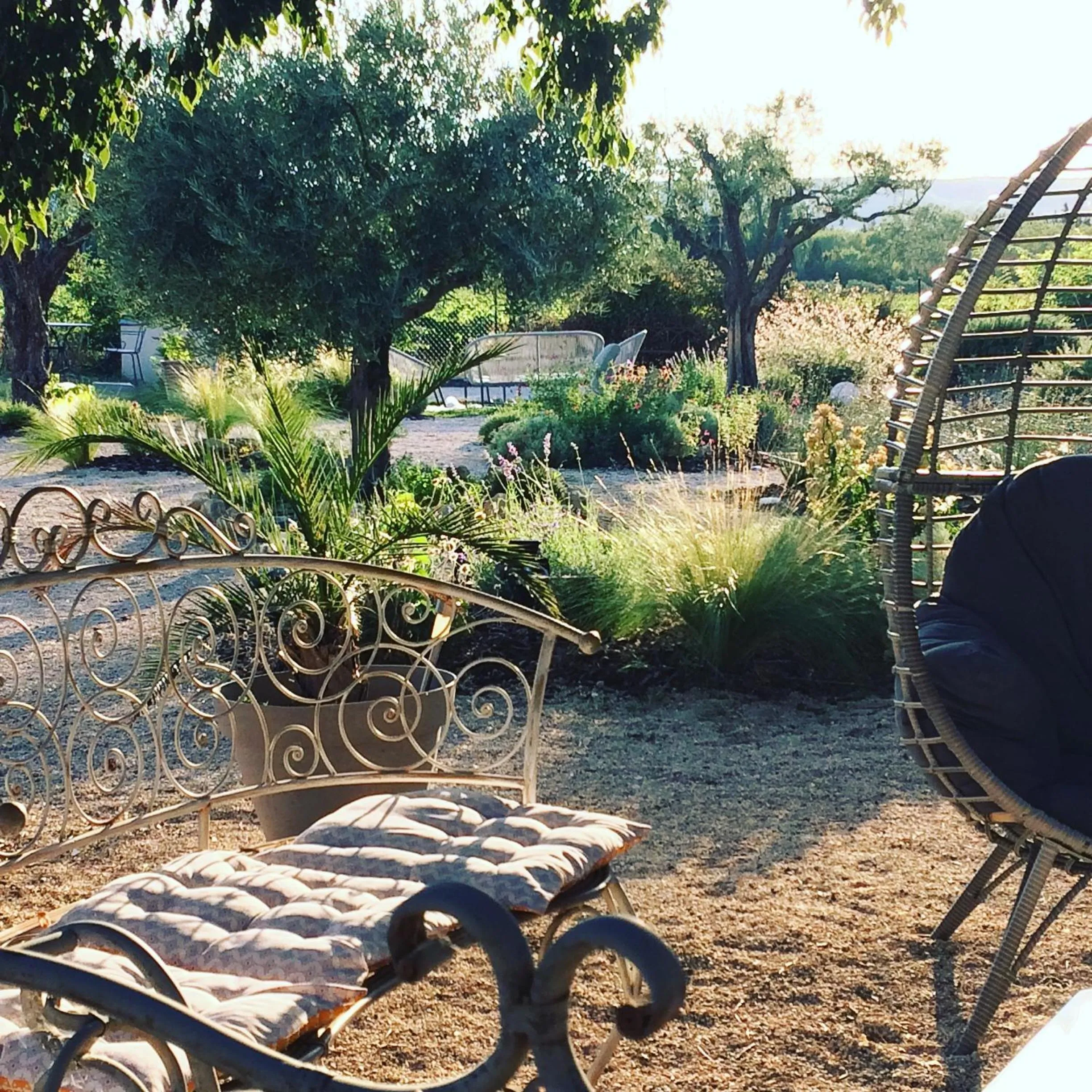 Other in Le Mas de la Javone