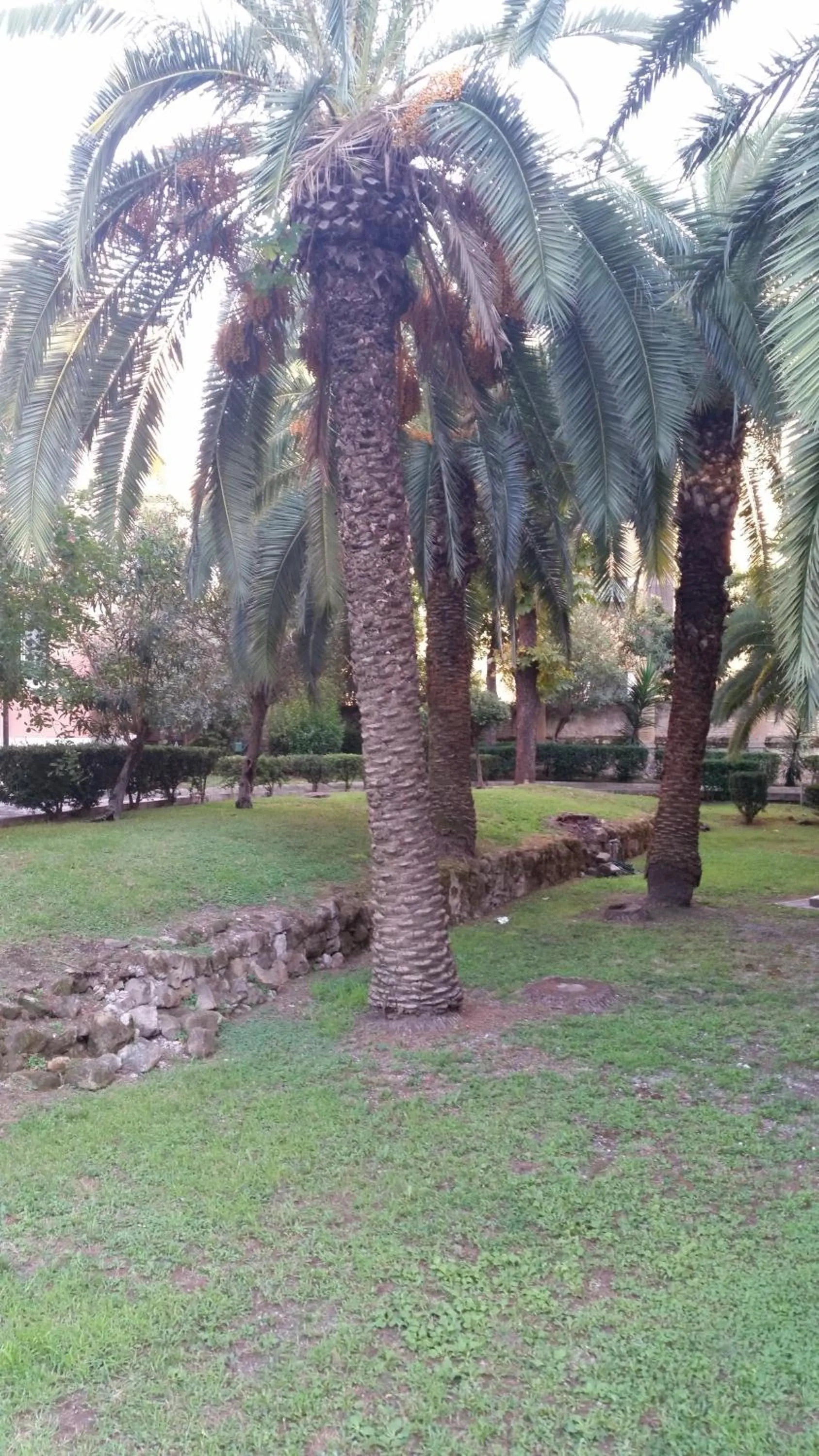 Garden view in Vecchia Roma Resort