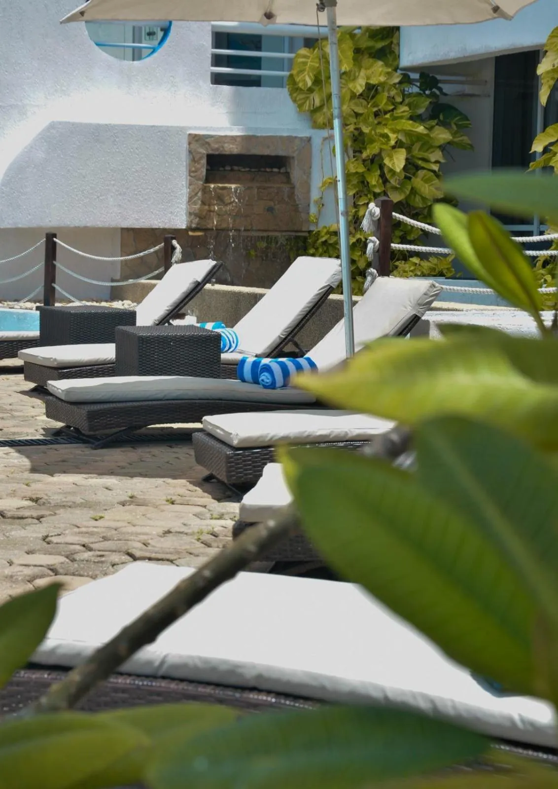 Pool view in Aquarius Hotel Boutique