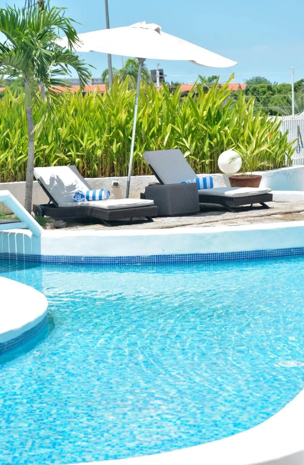 Garden view in Aquarius Hotel Boutique