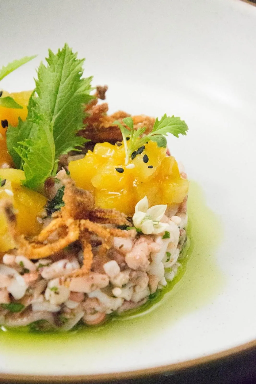 Dinner in Aquarius Hotel Boutique