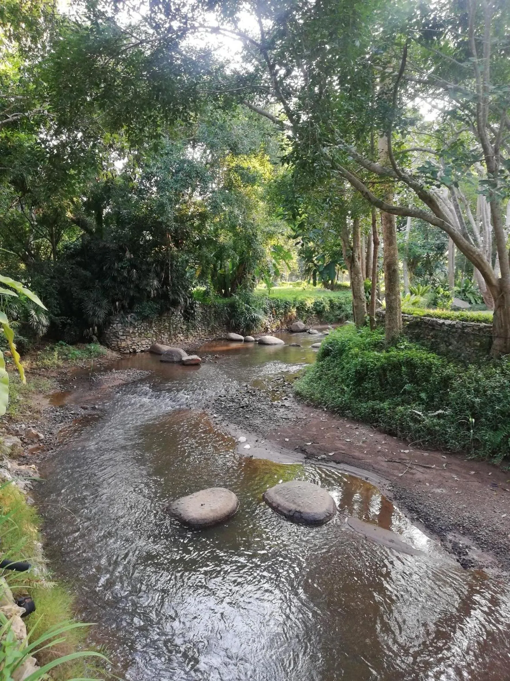 Natural landscape in Chayana Resort