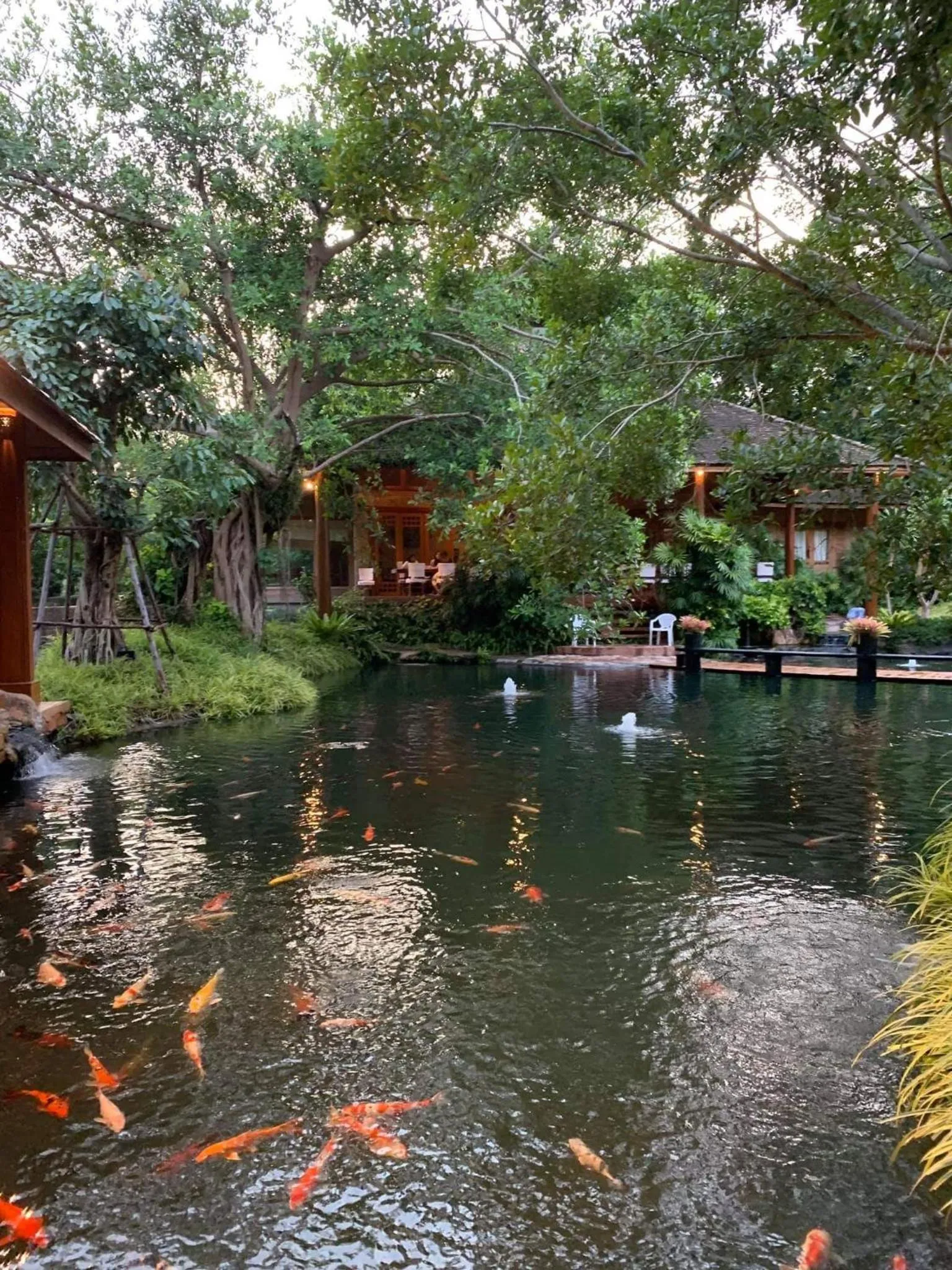 Natural landscape in Chayana Resort