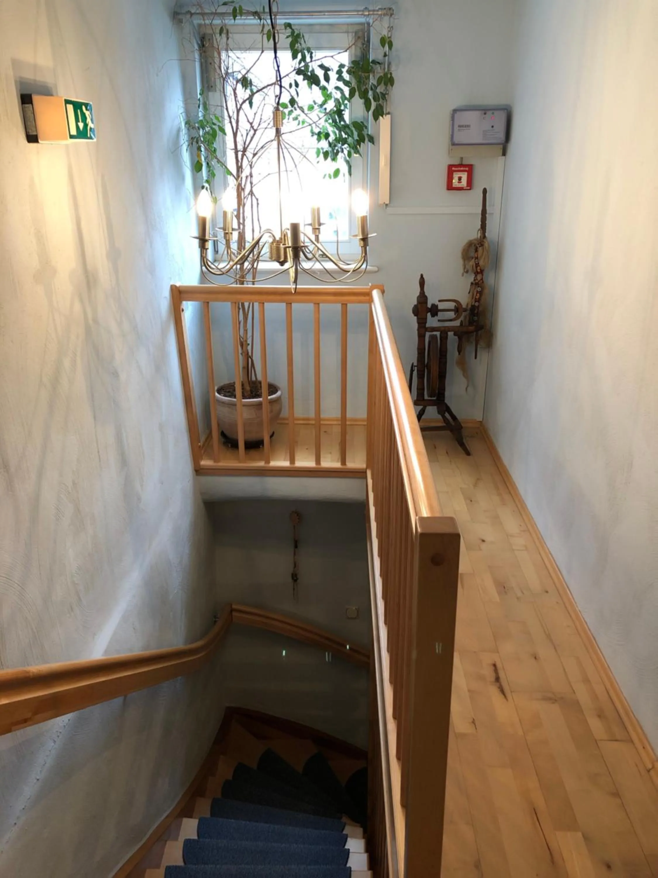 Other in Hostaria del Castello