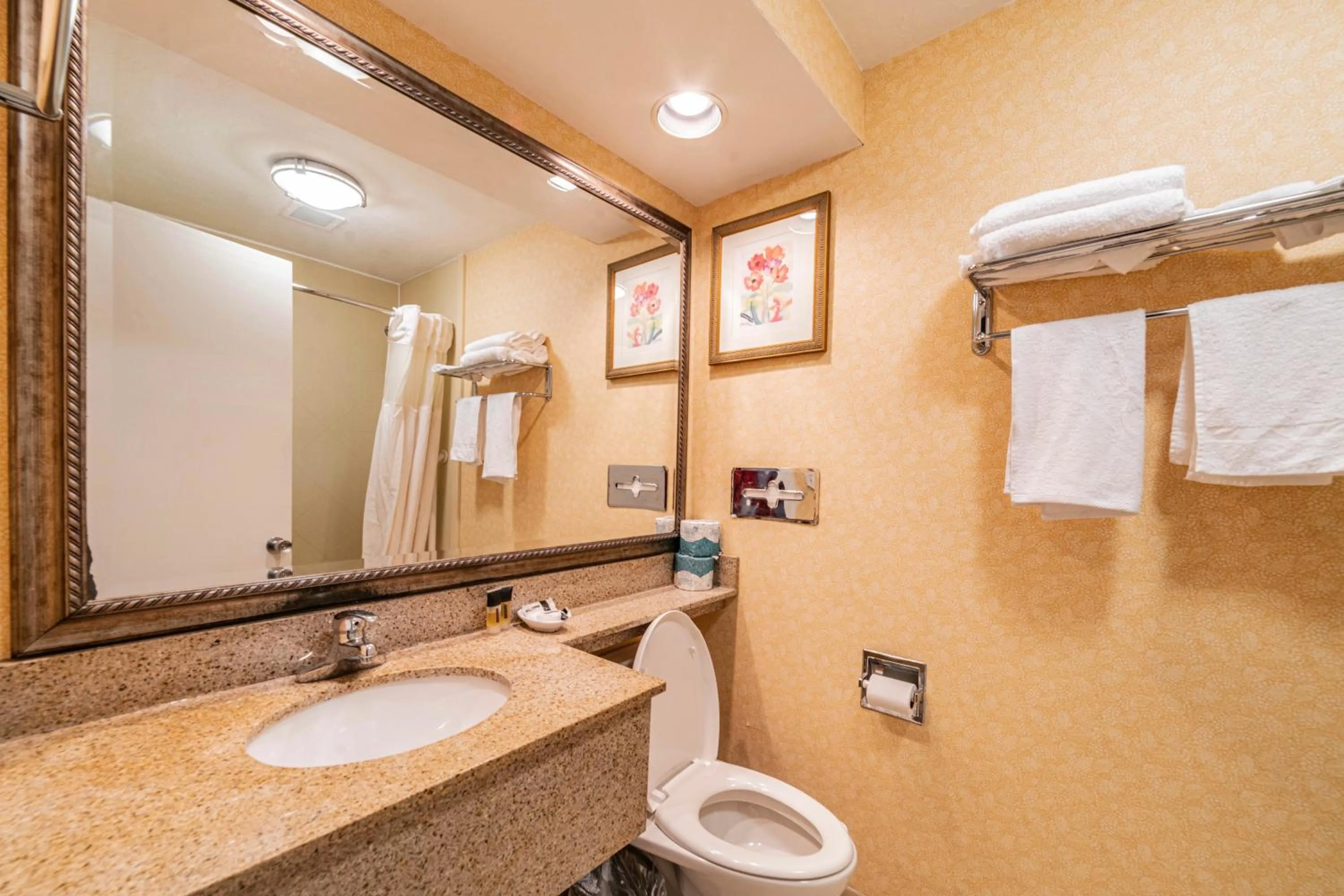 Bath in Hotel Boston