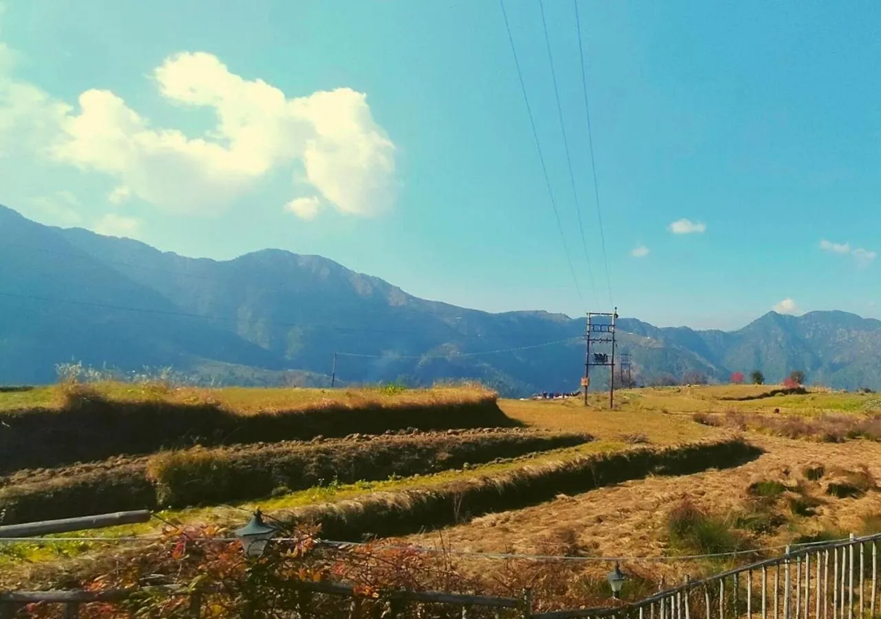 View (from property/room) in Bamboo Junction Resort - Kanatal, Valley & Mountain View