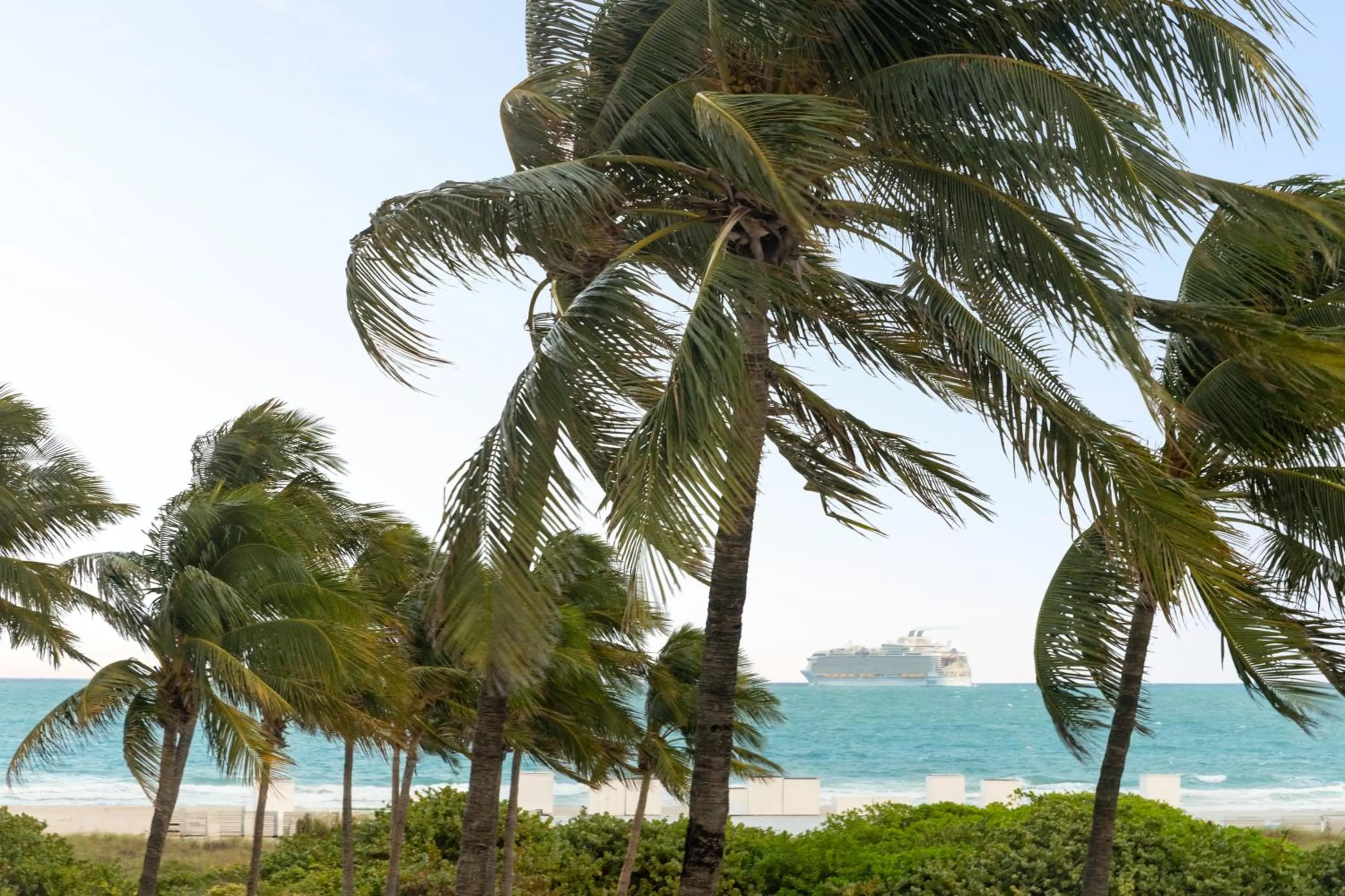 Day in Waldorf Towers South Beach