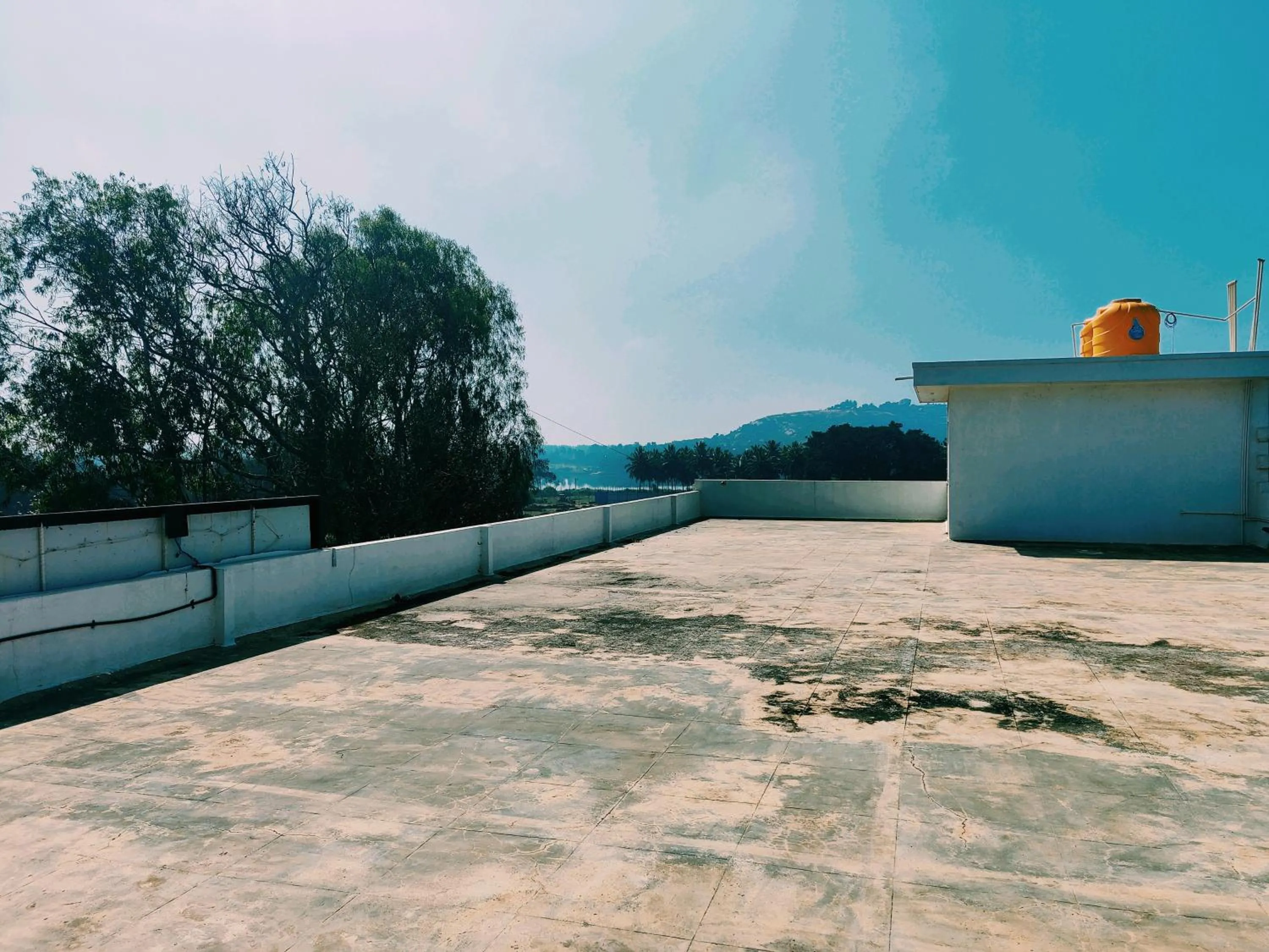 Natural landscape in Hotel Airport City