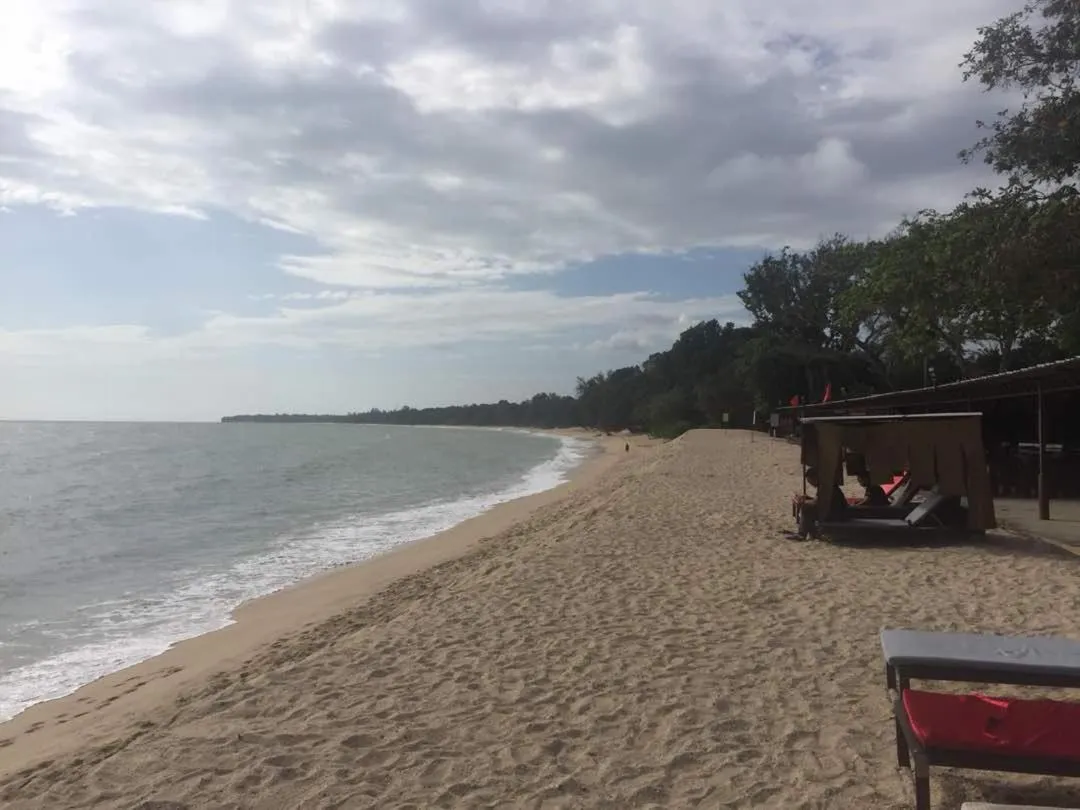 Beach in D'Vista Homestay Apartments in Desaru Beach Resort
