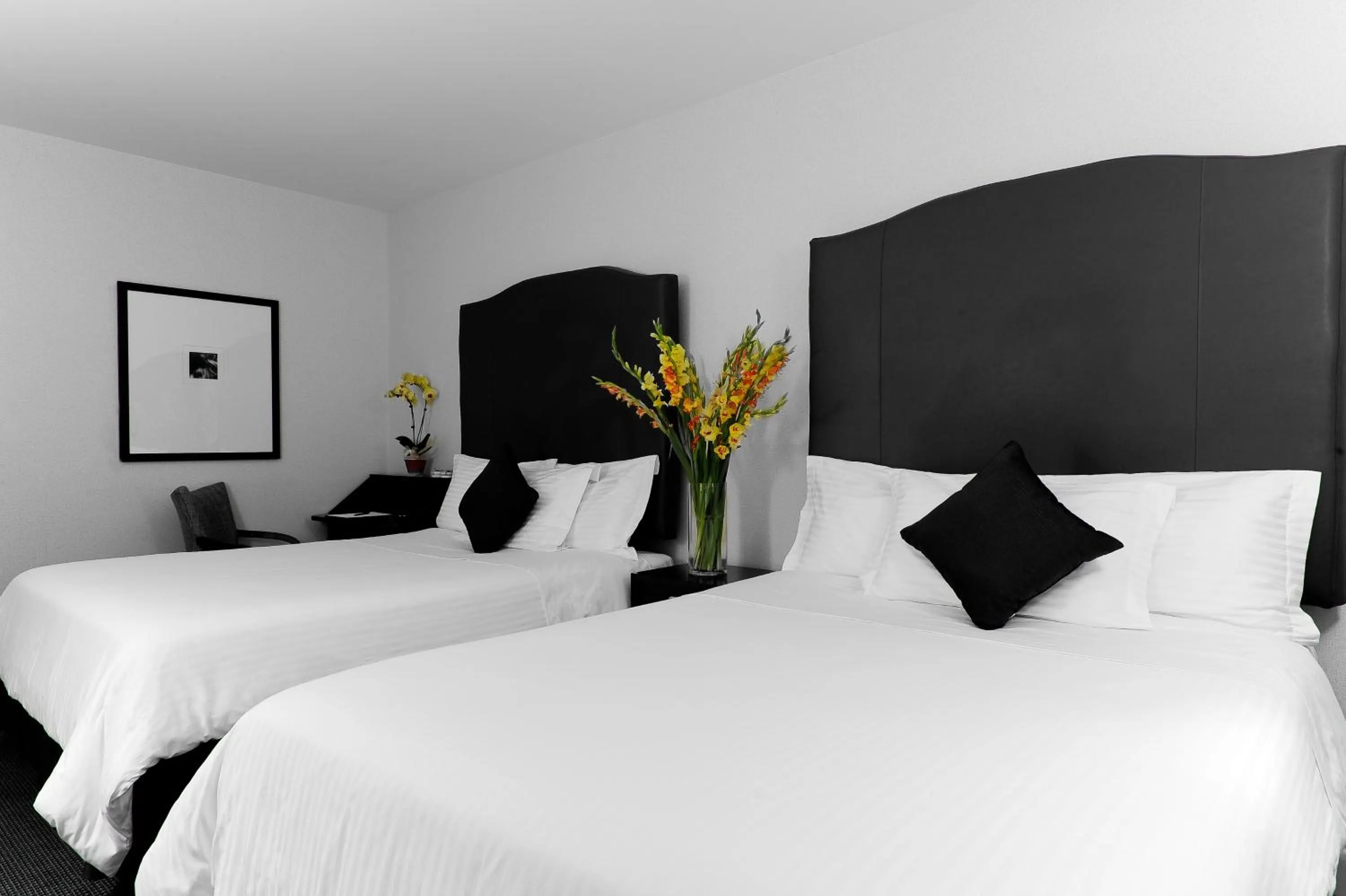 Bed in Washington Jefferson Hotel - Times Square North