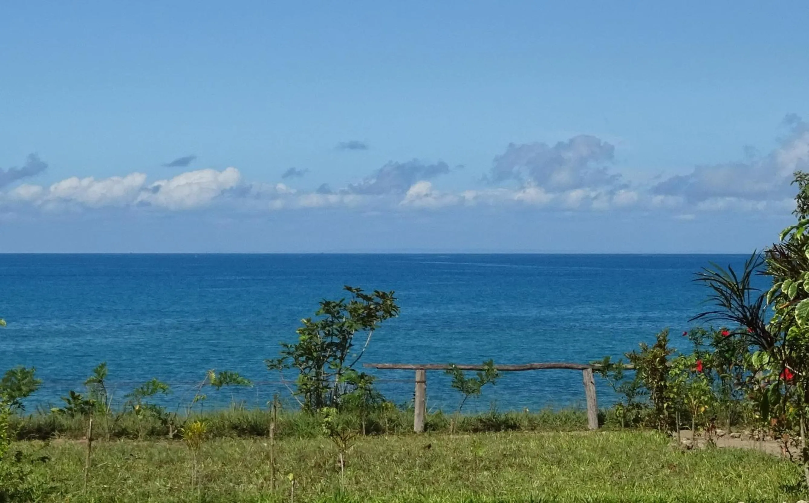 View (from property/room) in Jabar Lodge