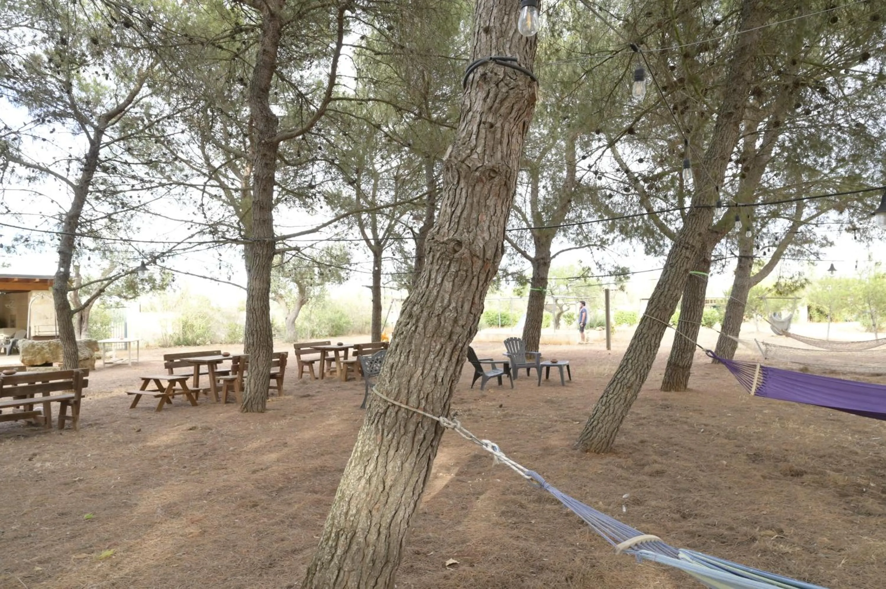 Garden in Villa Delle Palme