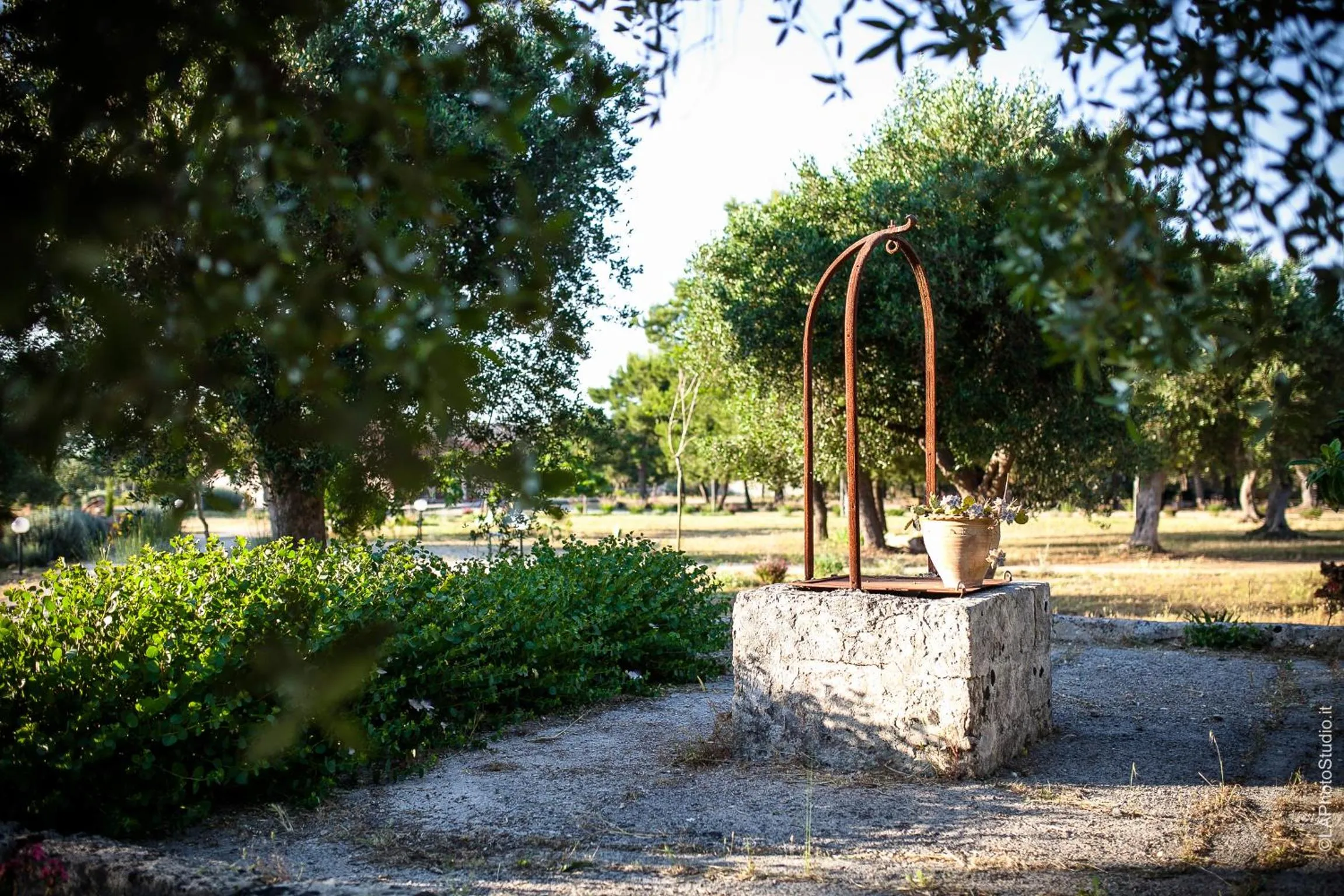 Garden in Villa Delle Palme