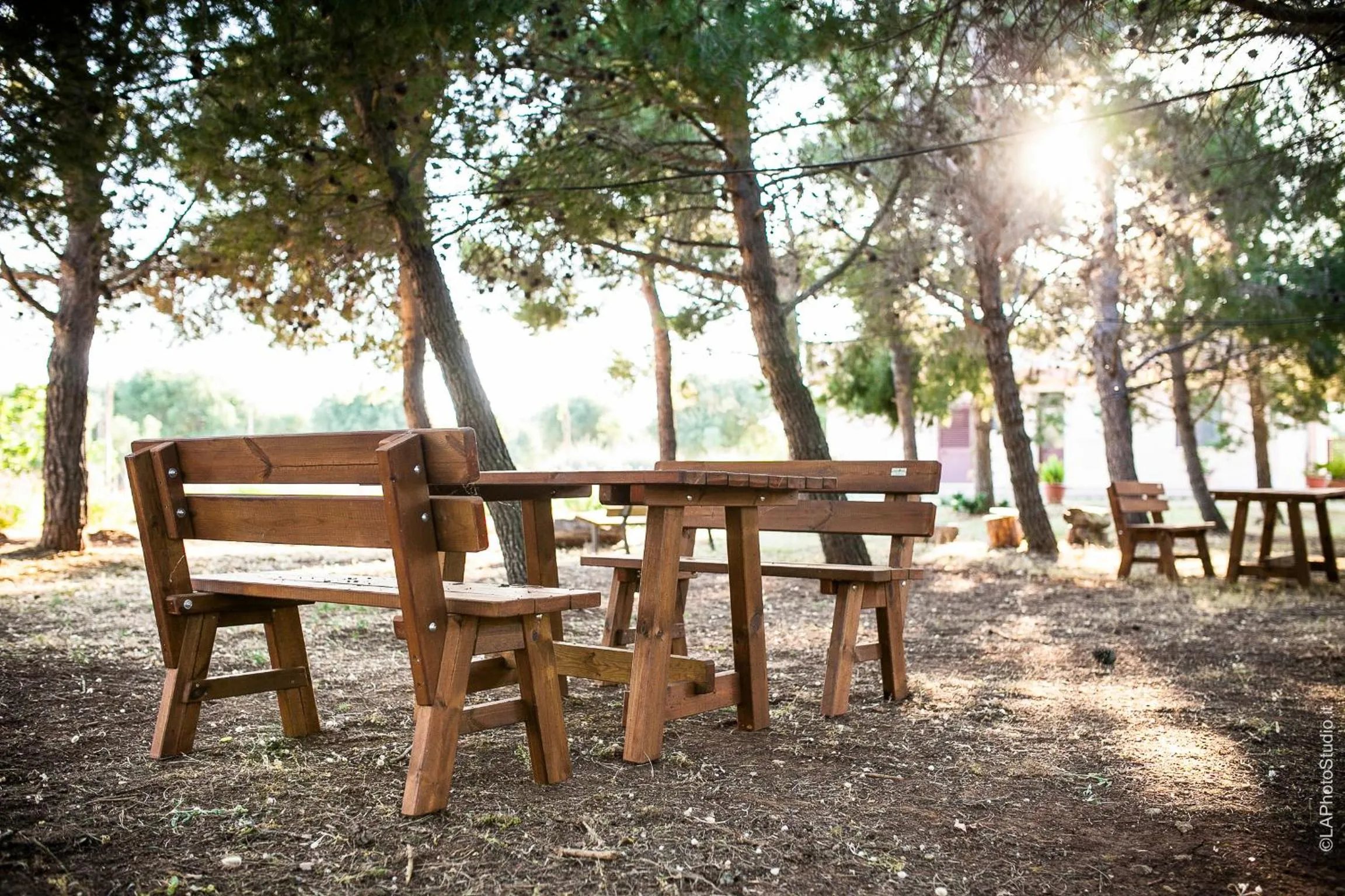 Natural landscape in Villa Delle Palme