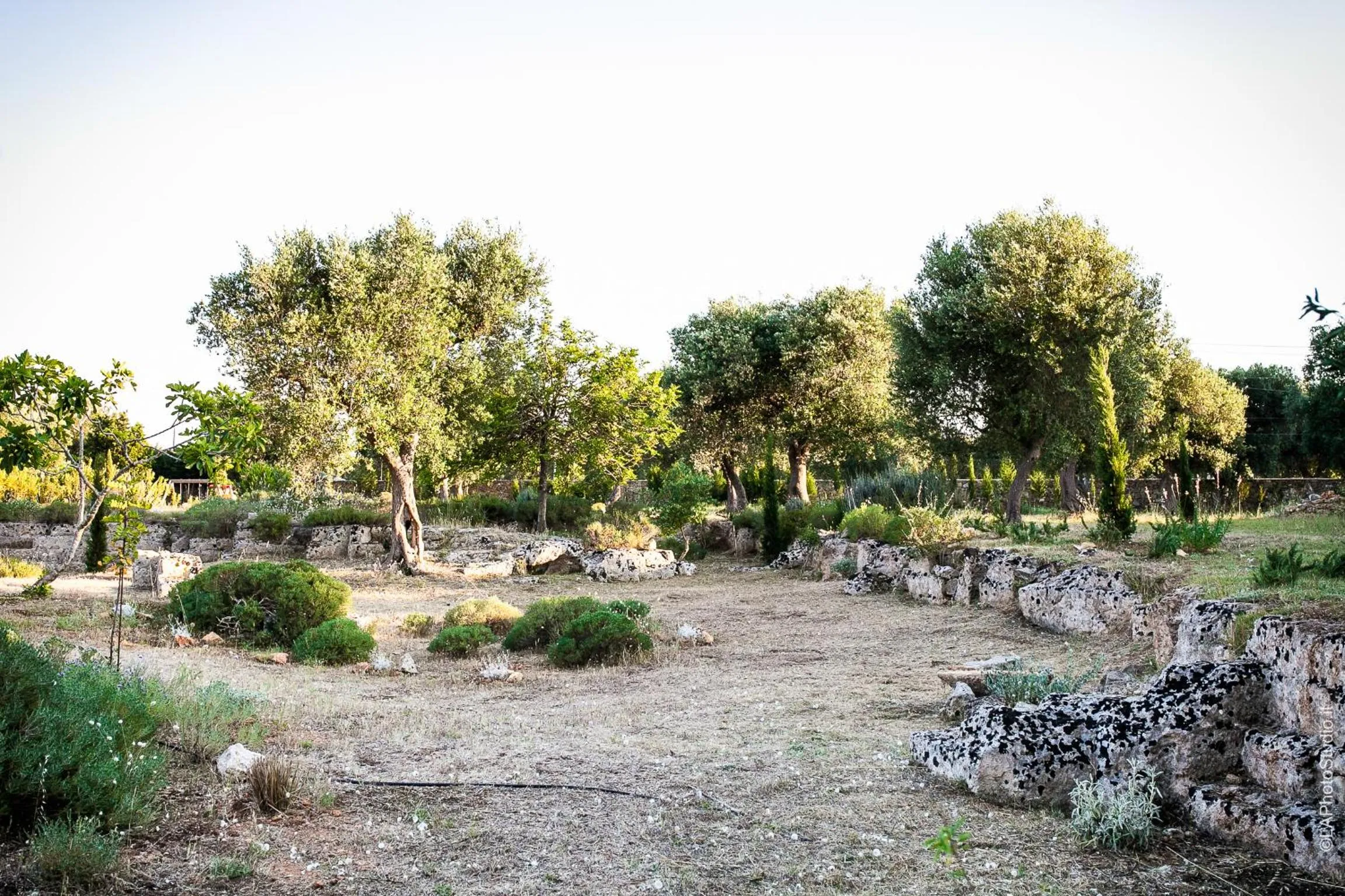 Day in Villa Delle Palme