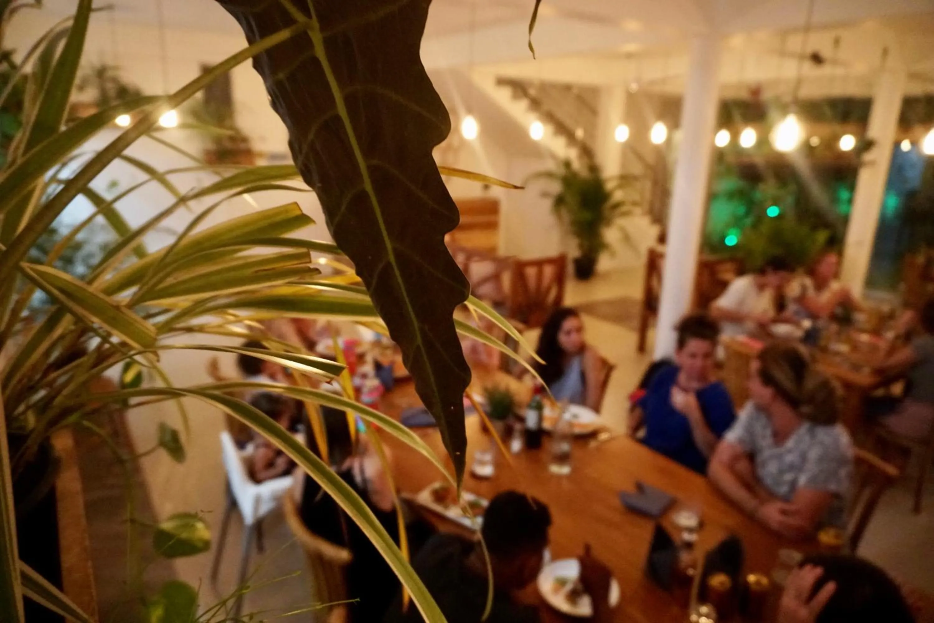 Restaurant/places to eat in Rise - Bed & Breakfast