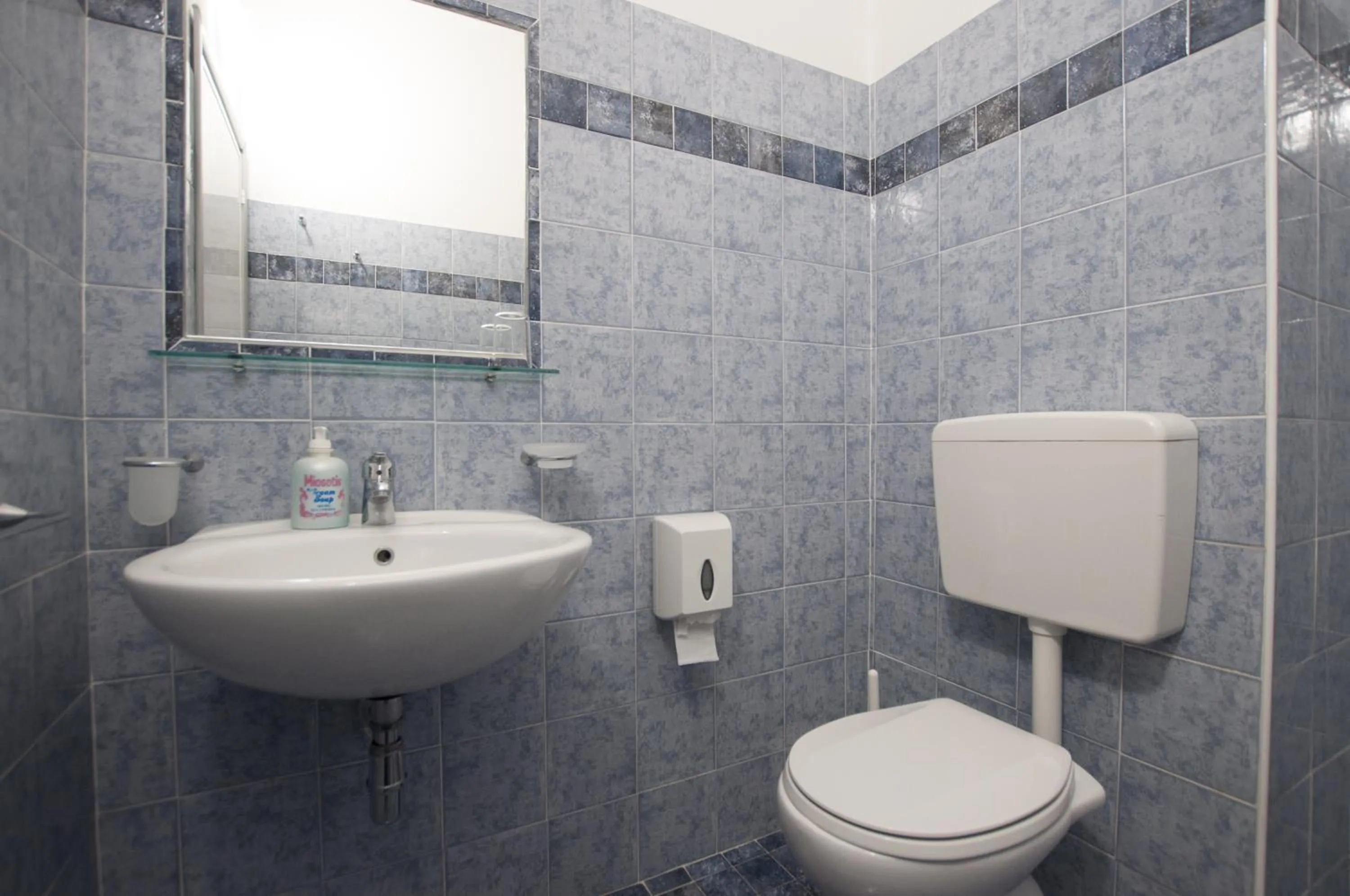 Toilet in Hotel Edelweiss