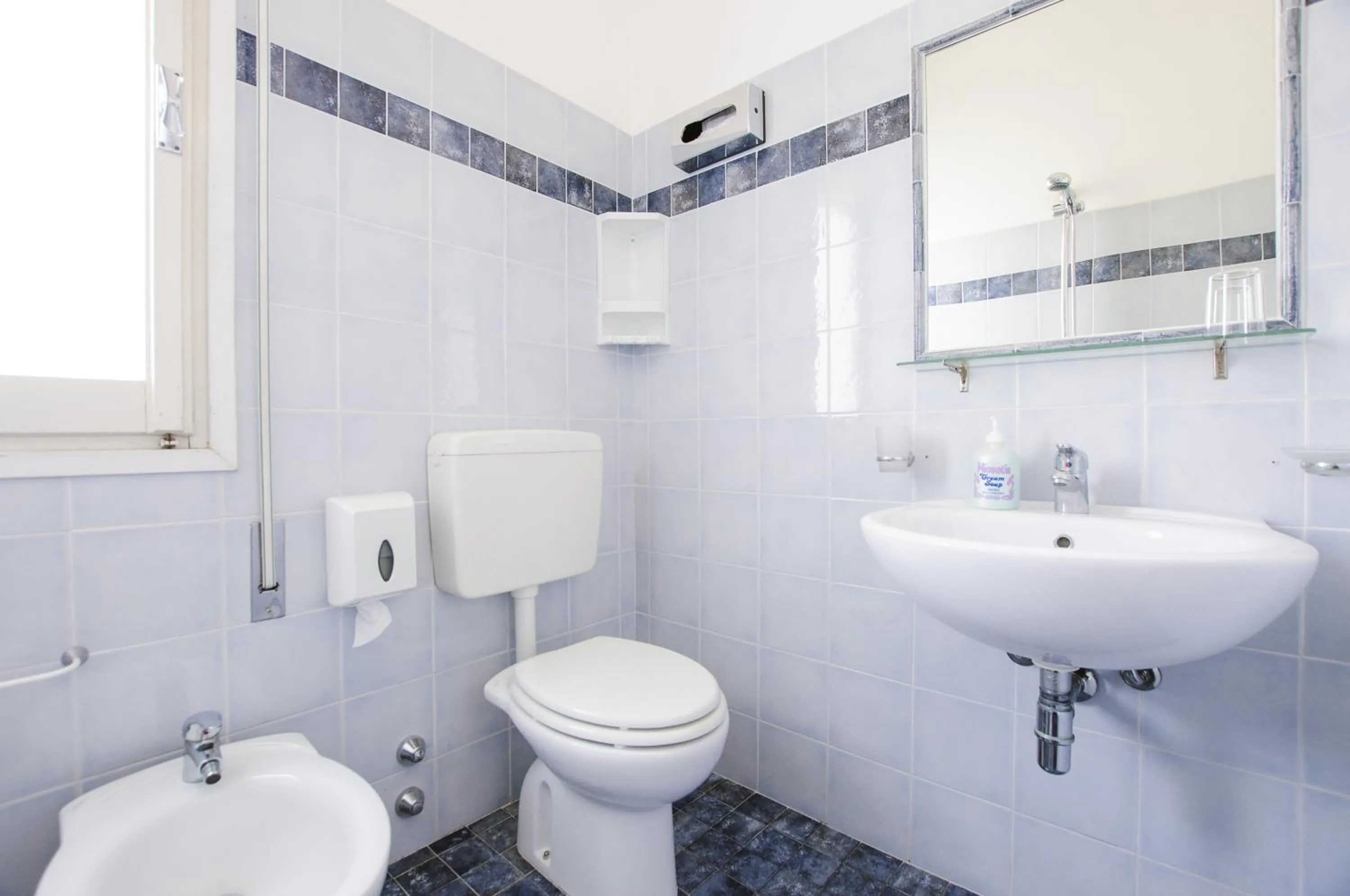 Toilet in Hotel Edelweiss