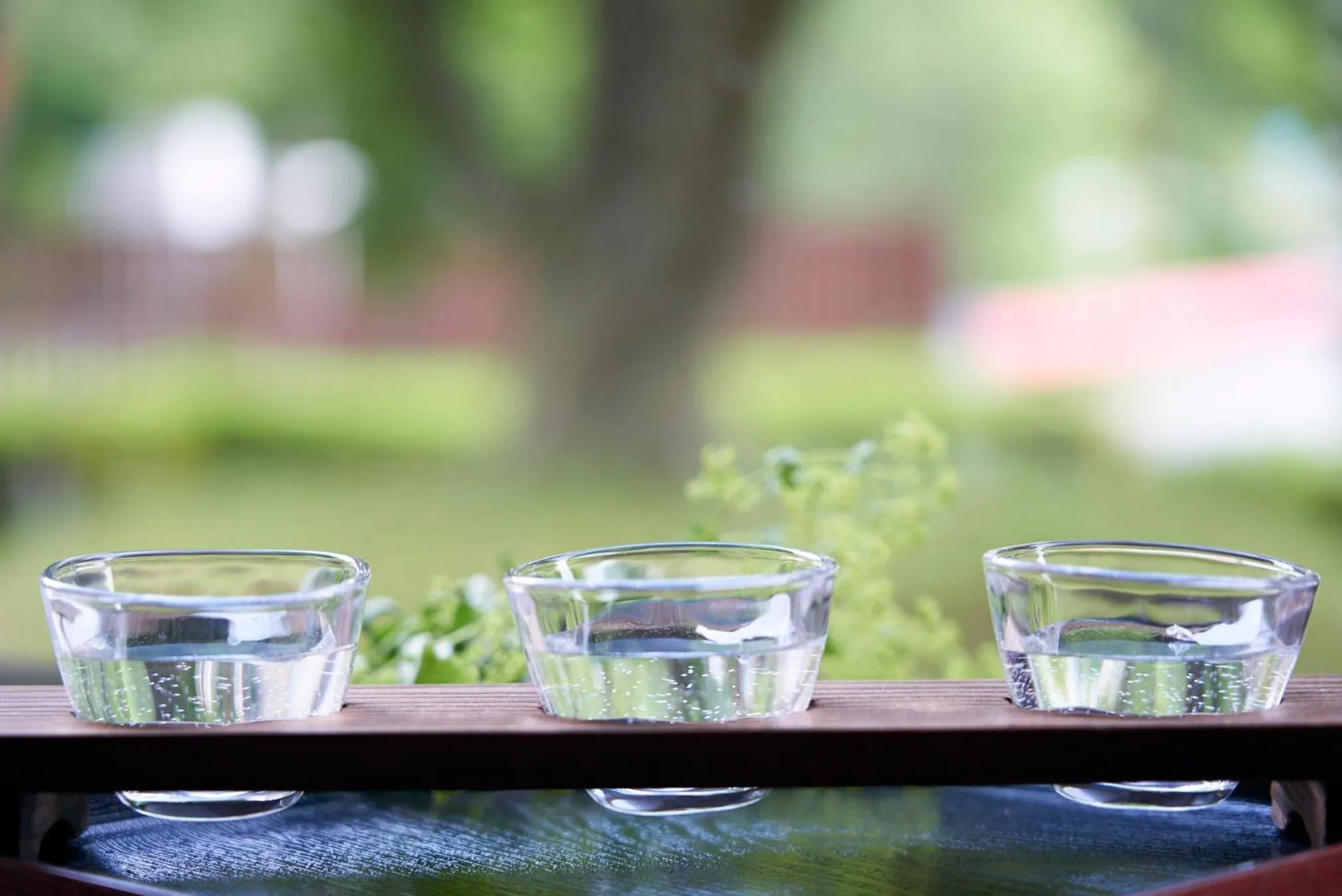 Alcoholic drinks in Yutoriro Bandai Atami