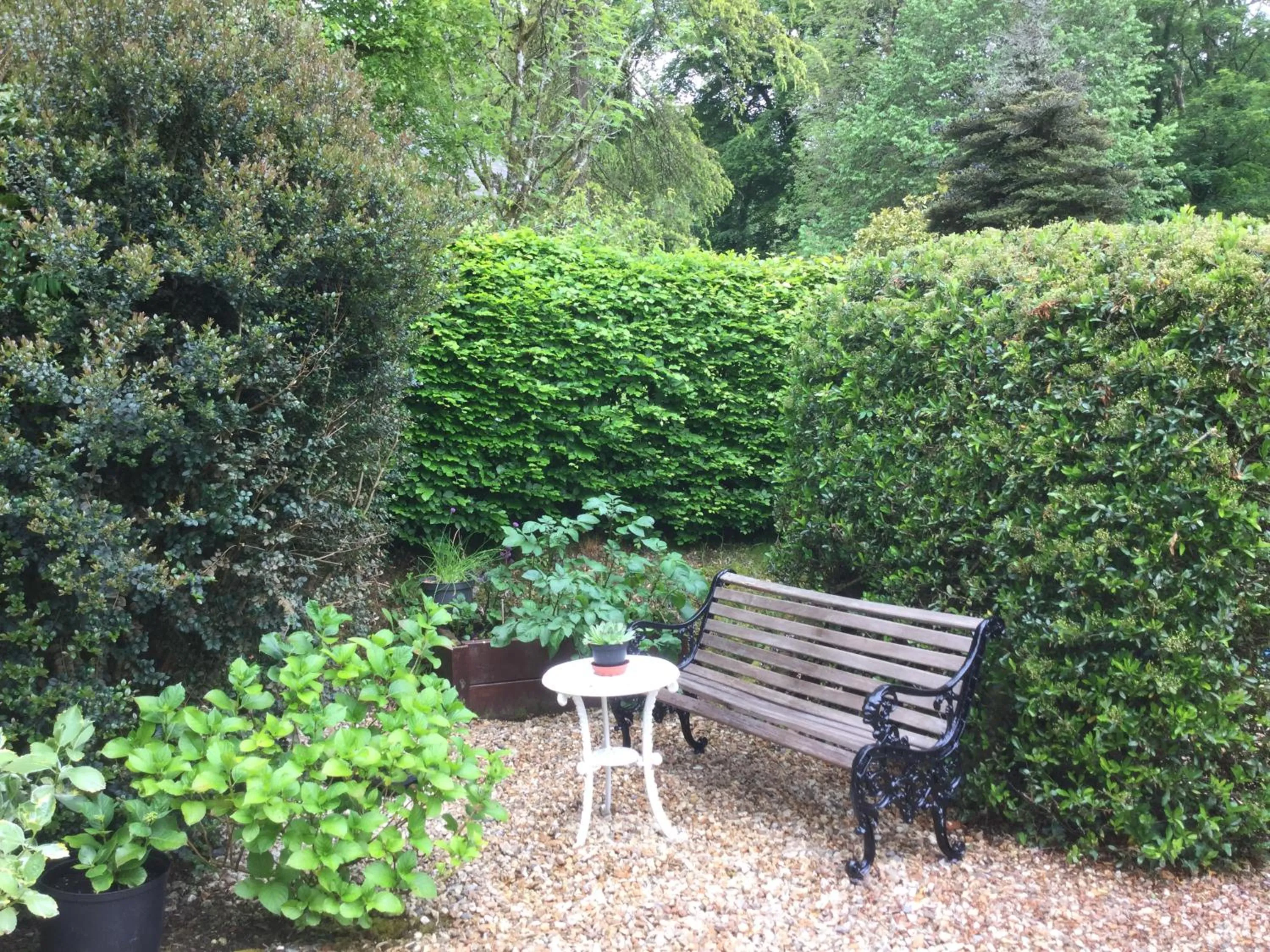 Garden in Dwynant - A Room with a View