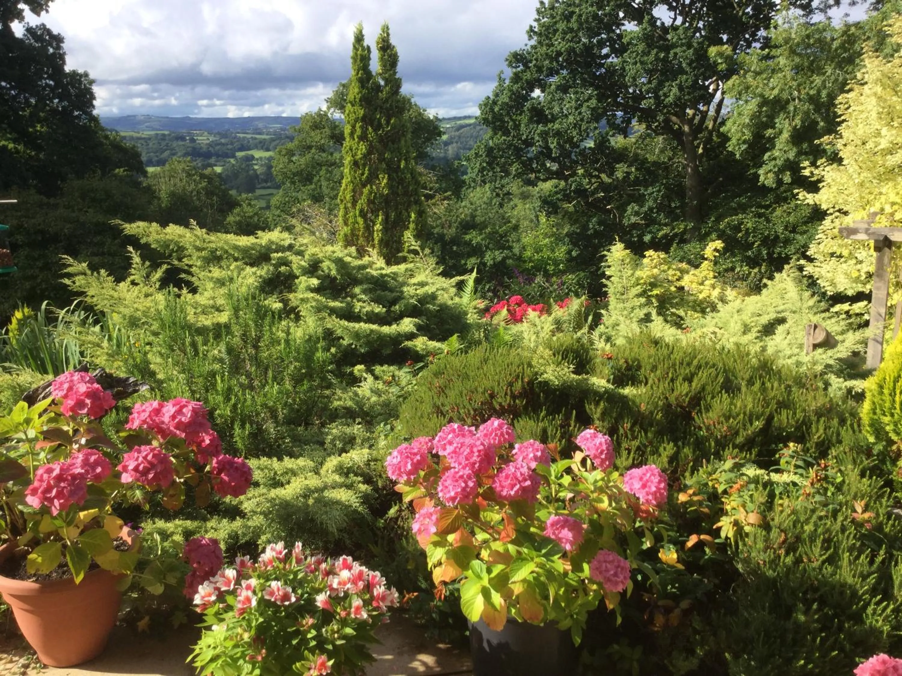 Garden view in Dwynant - A Room with a View