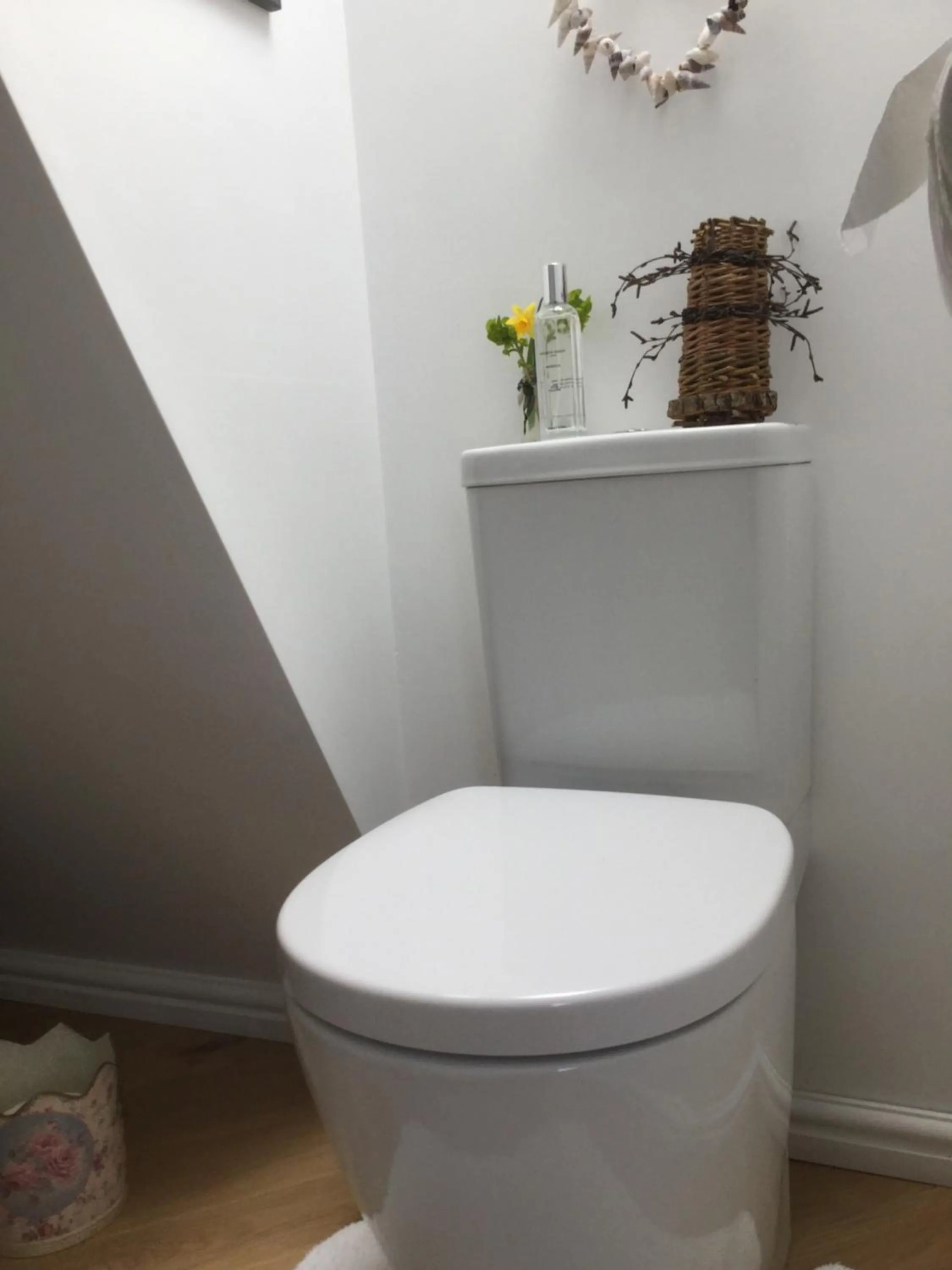 Dwynant - A Room with a View