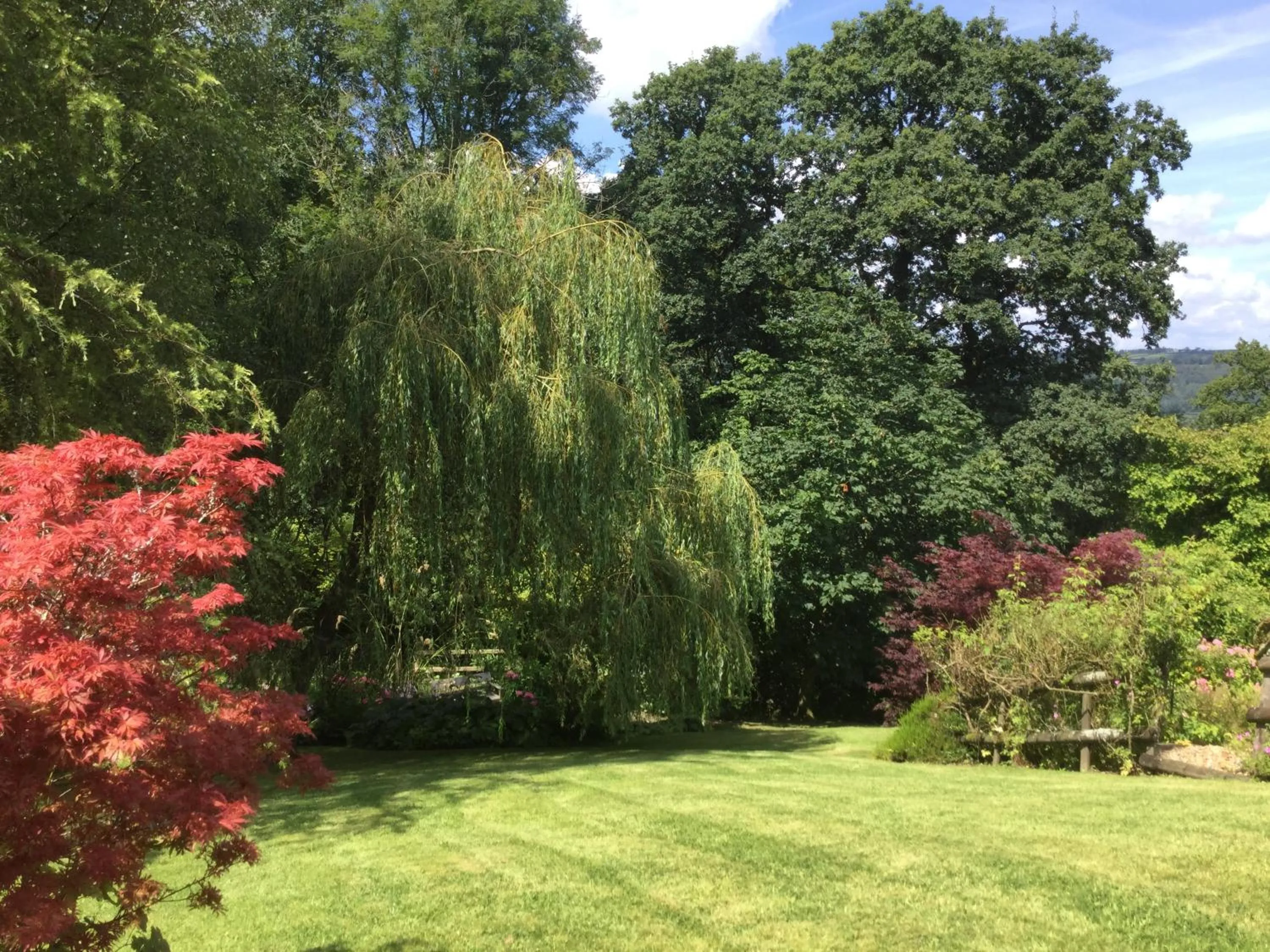 Garden in Dwynant - A Room with a View