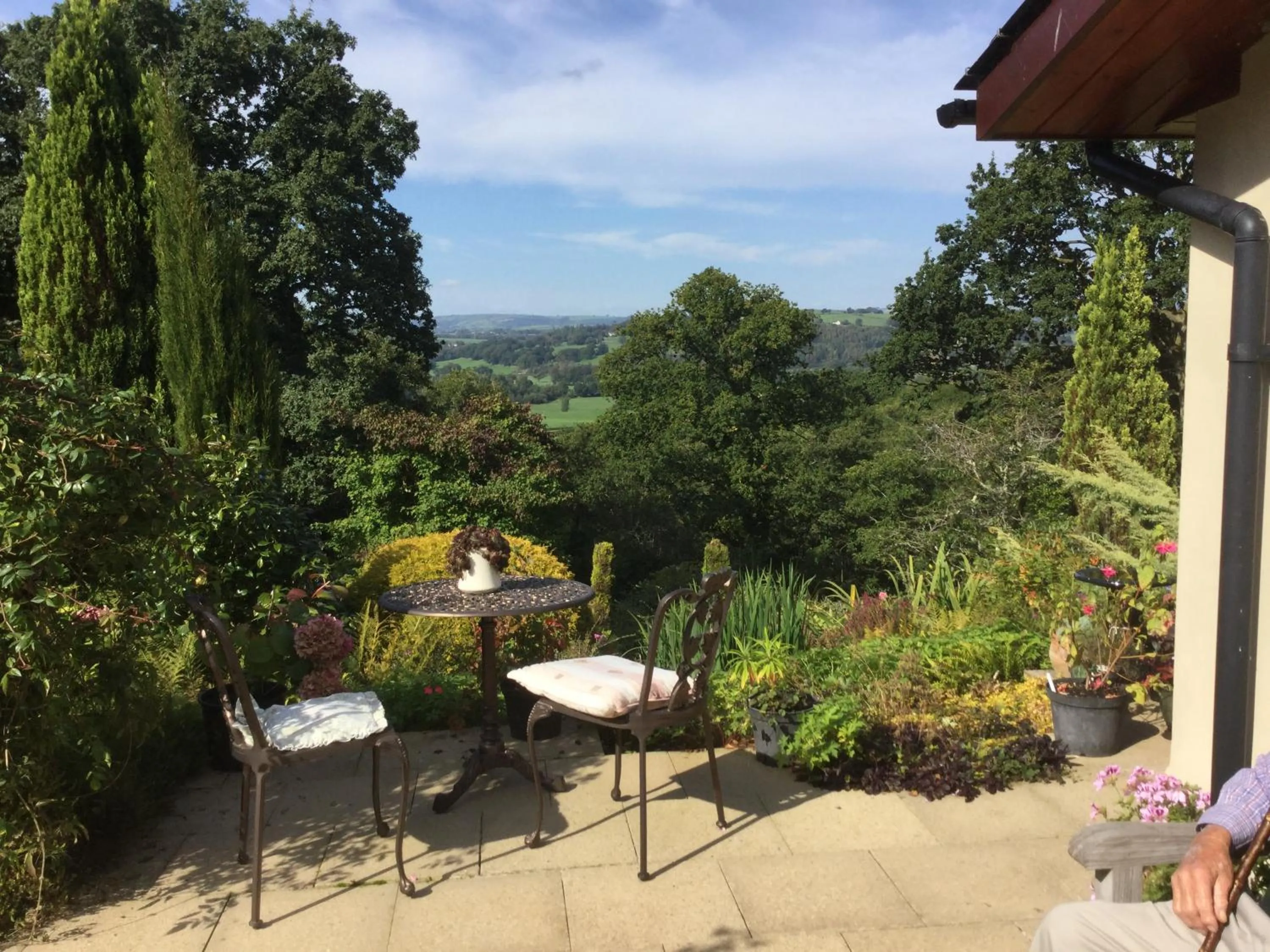 Dwynant - A Room with a View