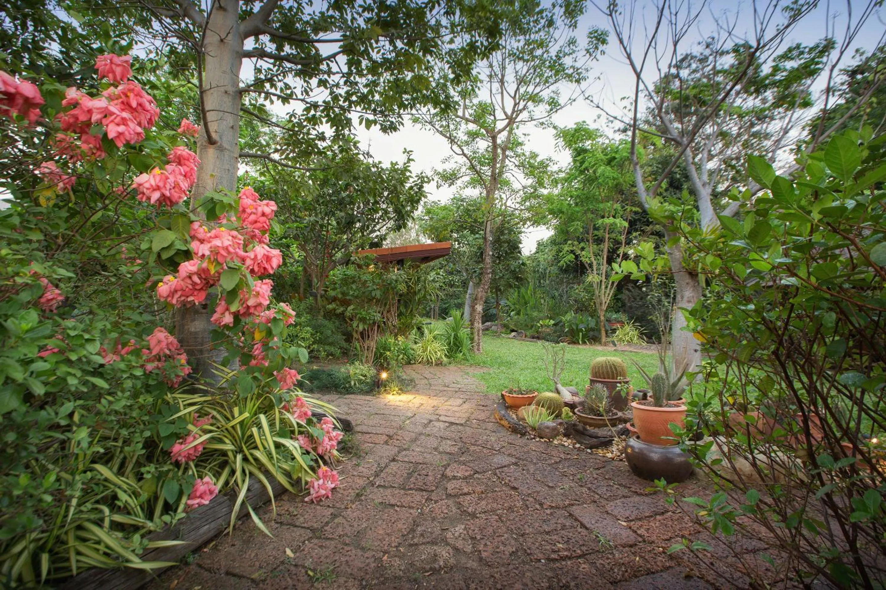 Garden in Cattani's Riverside Home