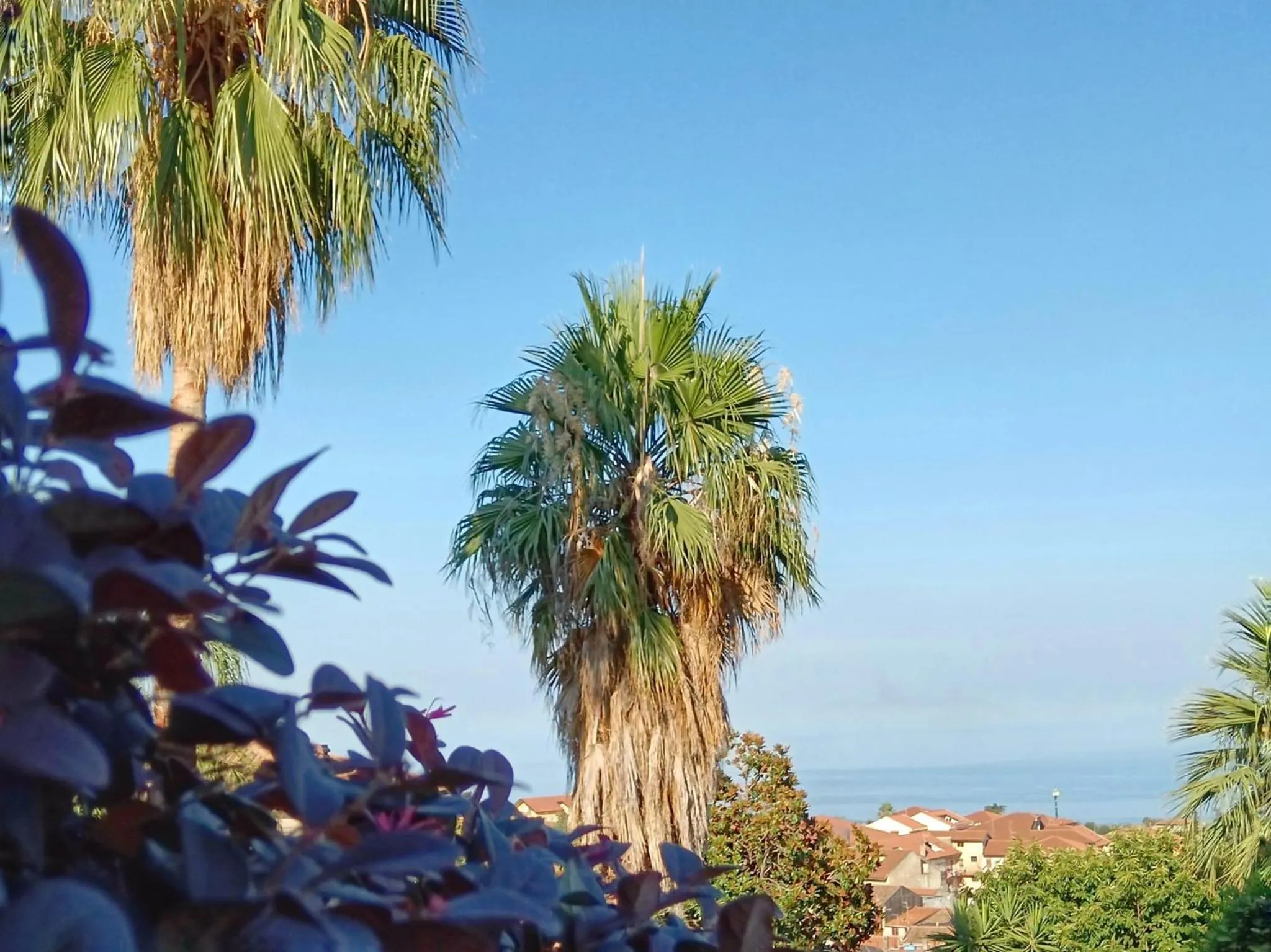 View (from property/room) in Villa Hirschen