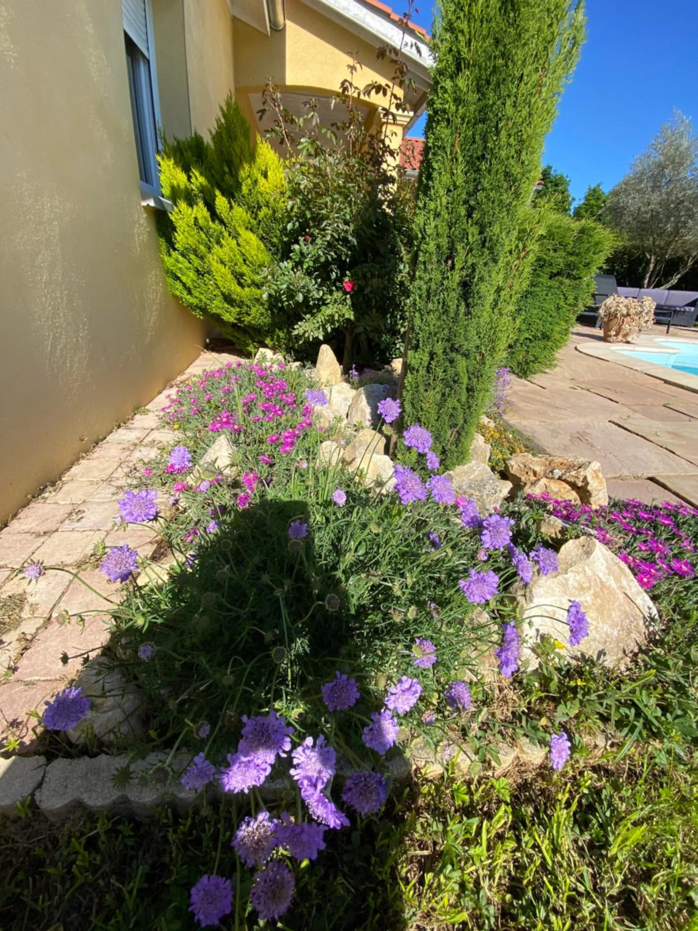Garden in Chambres dans villa avec piscine