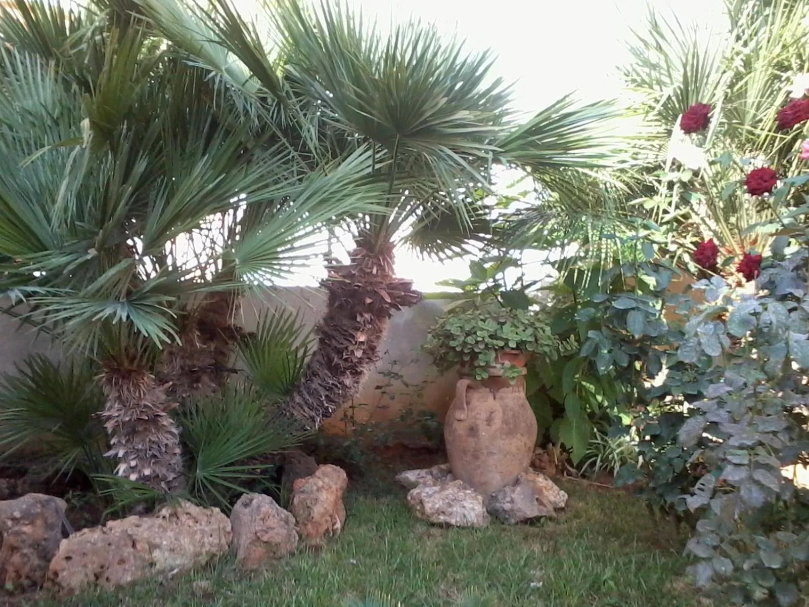 Garden in Aurora Castelluzzo