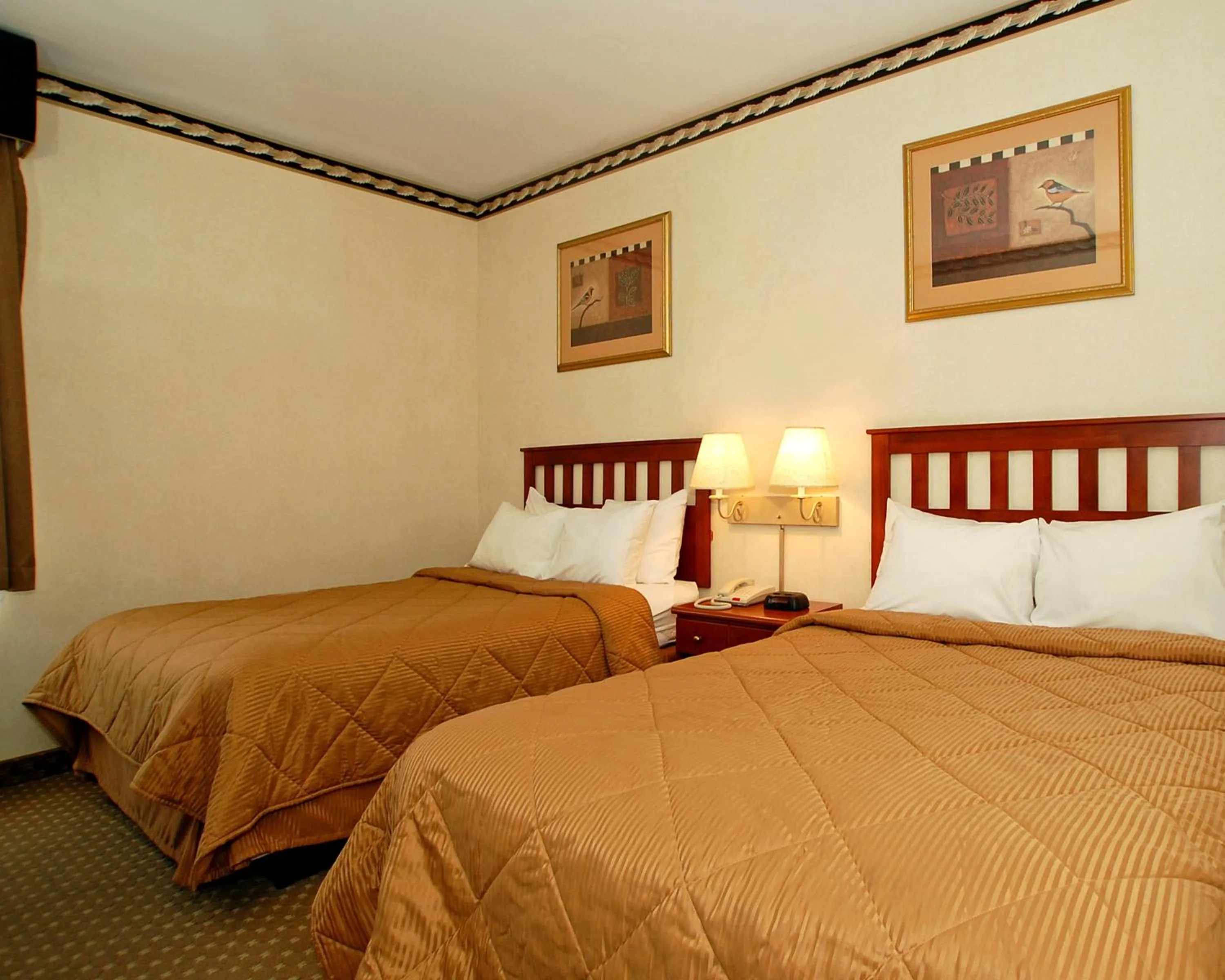 Bedroom, Room Photo in Red Lion Inn & Suites Long Island City