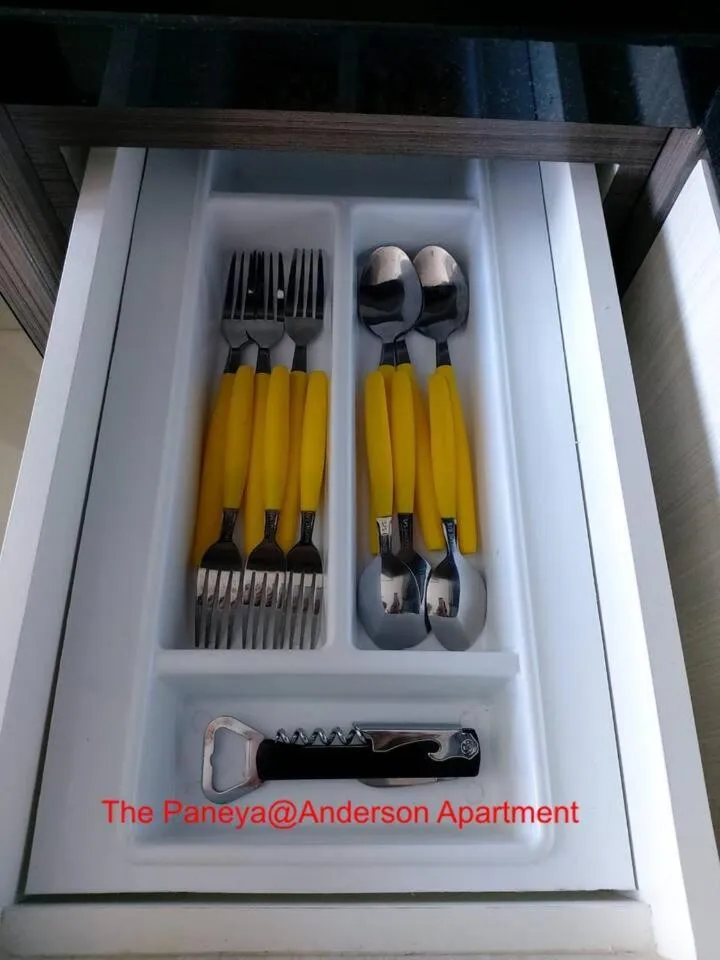 Kitchen or kitchenette in The Paneya@Anderson Apartment