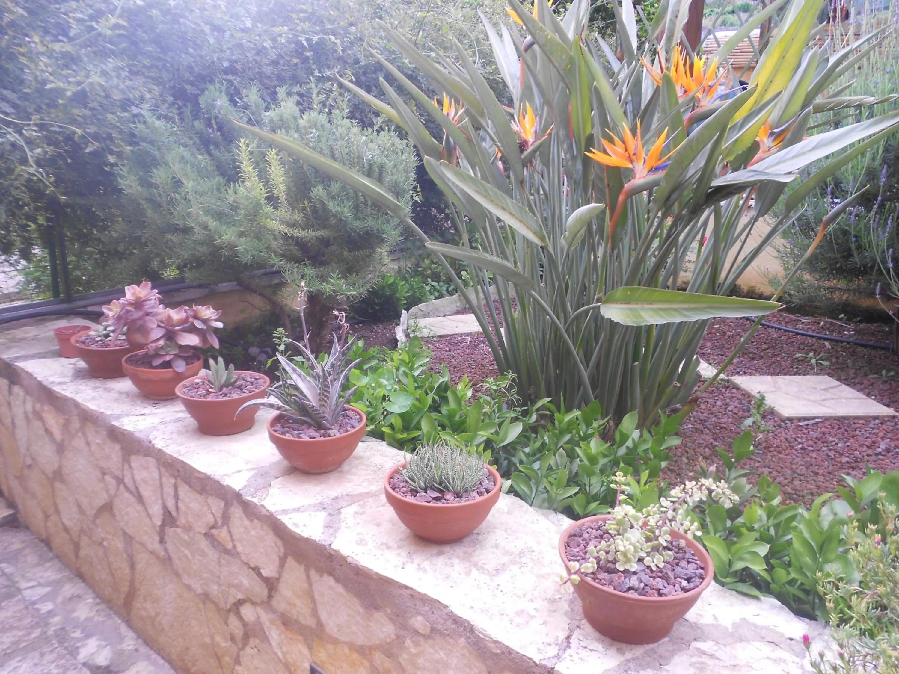 Garden in B&B Verdeblu