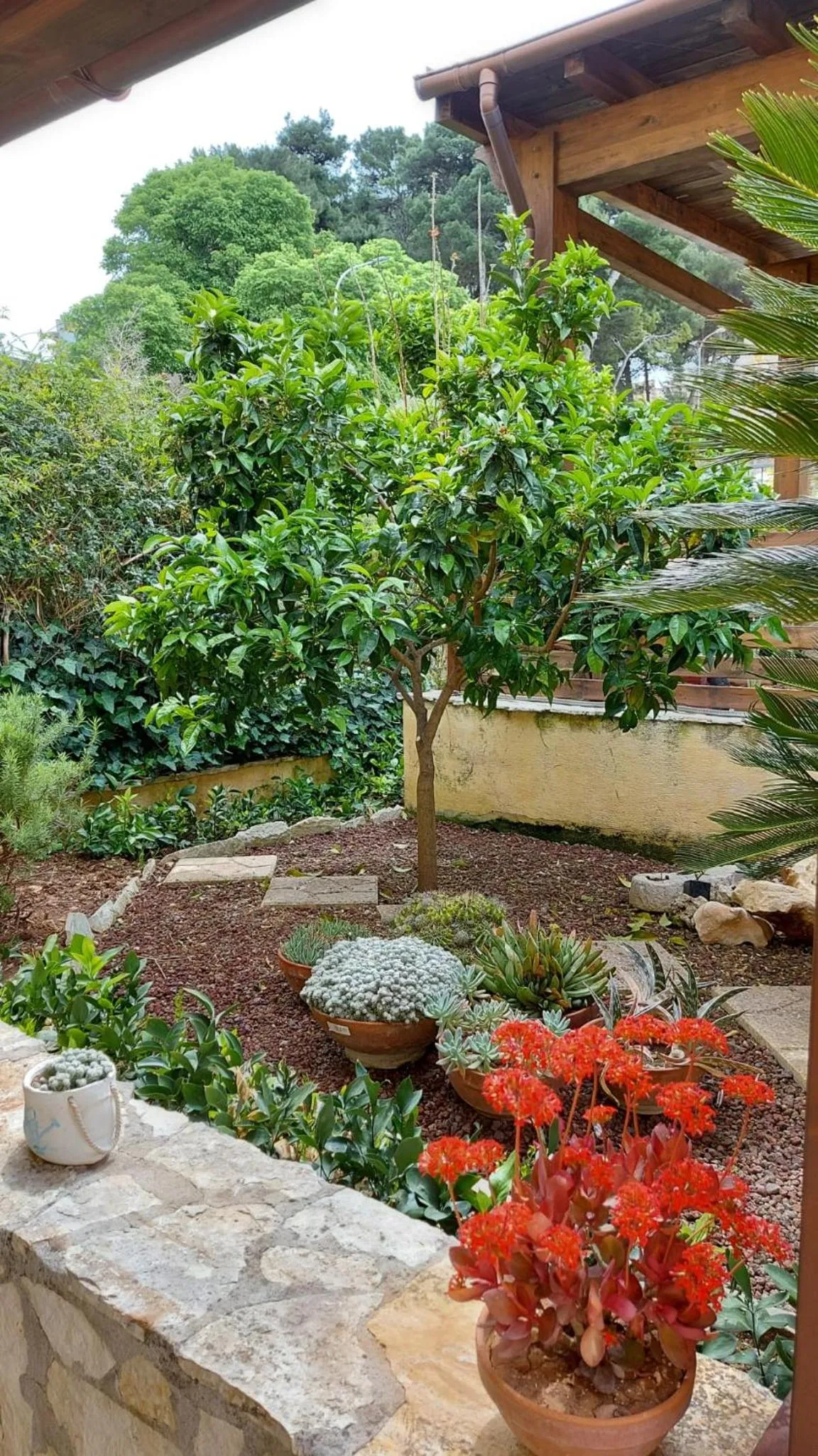 Garden in B&B Verdeblu