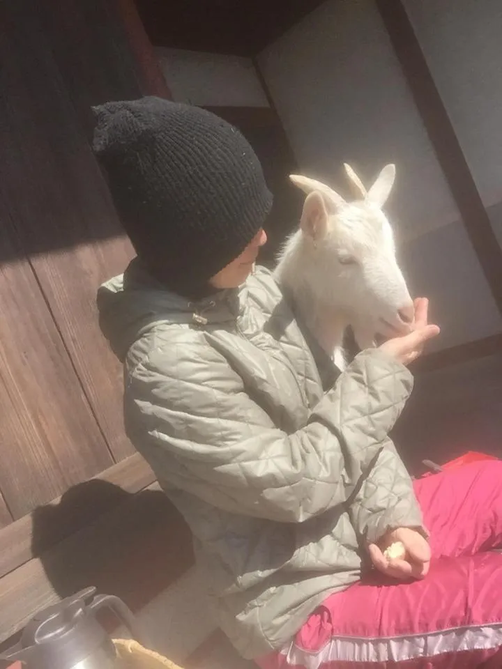 Pets in Kumano Winery Guest House