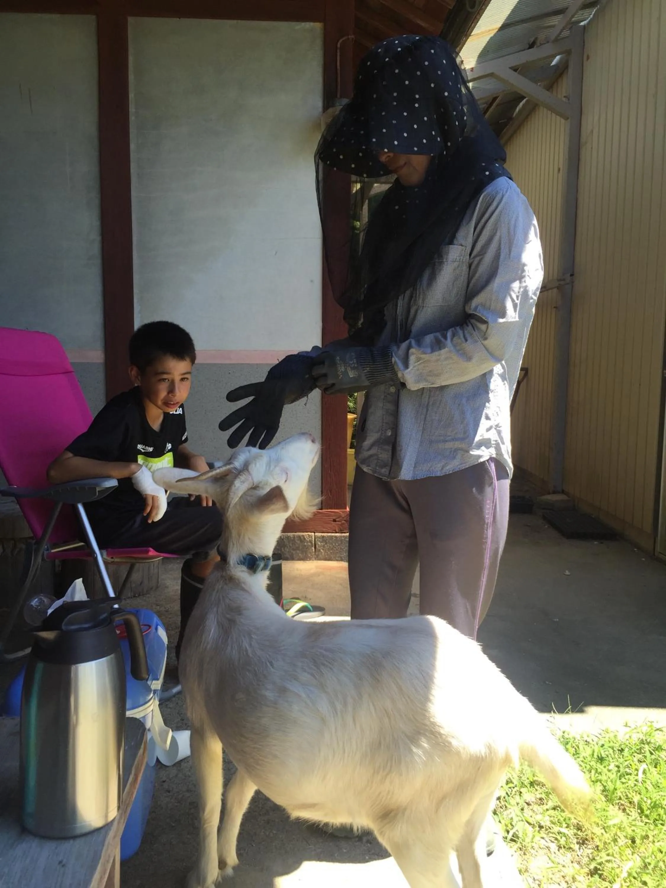 Kumano Winery Guest House