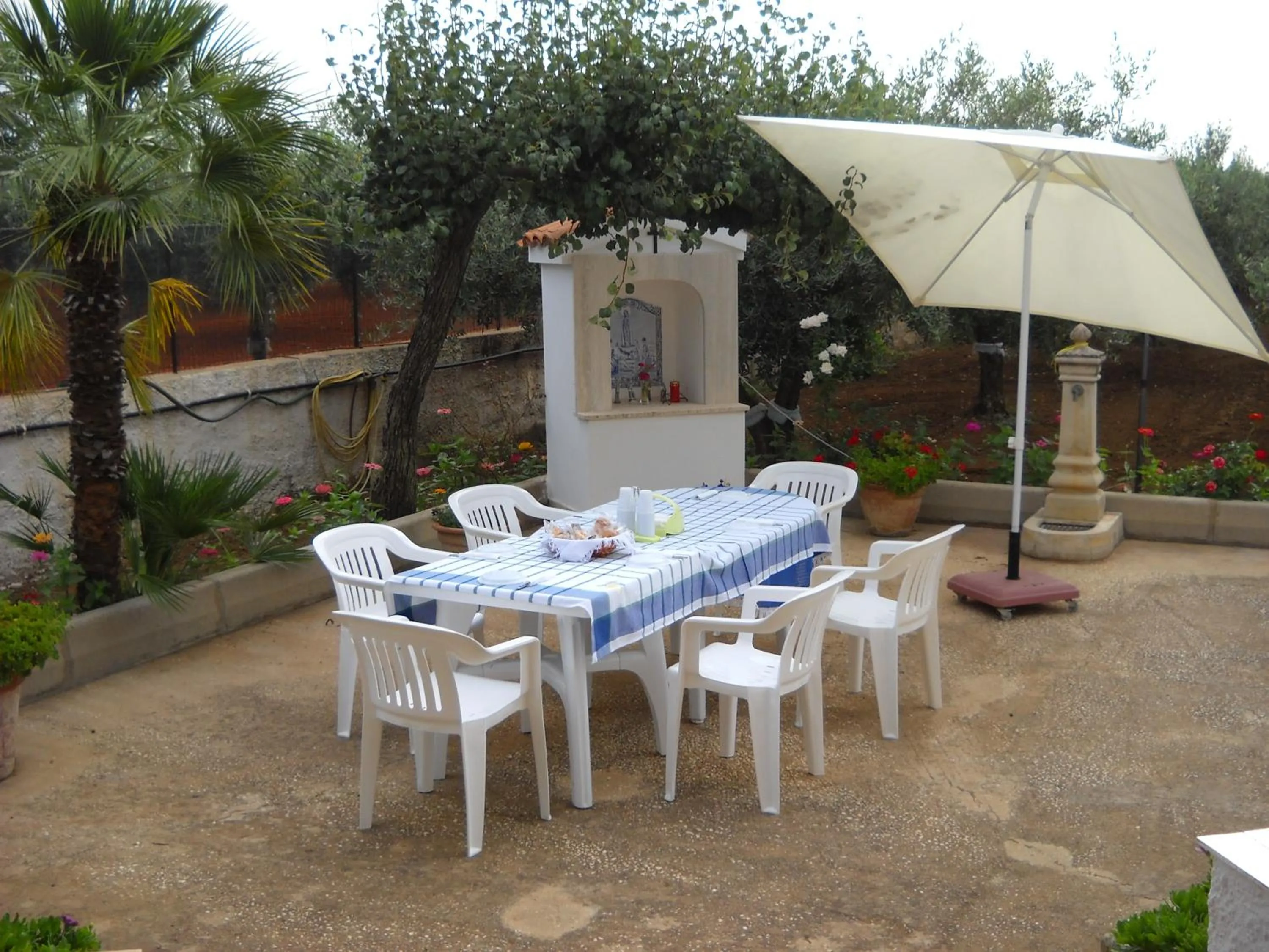 Garden in Santa Teresa